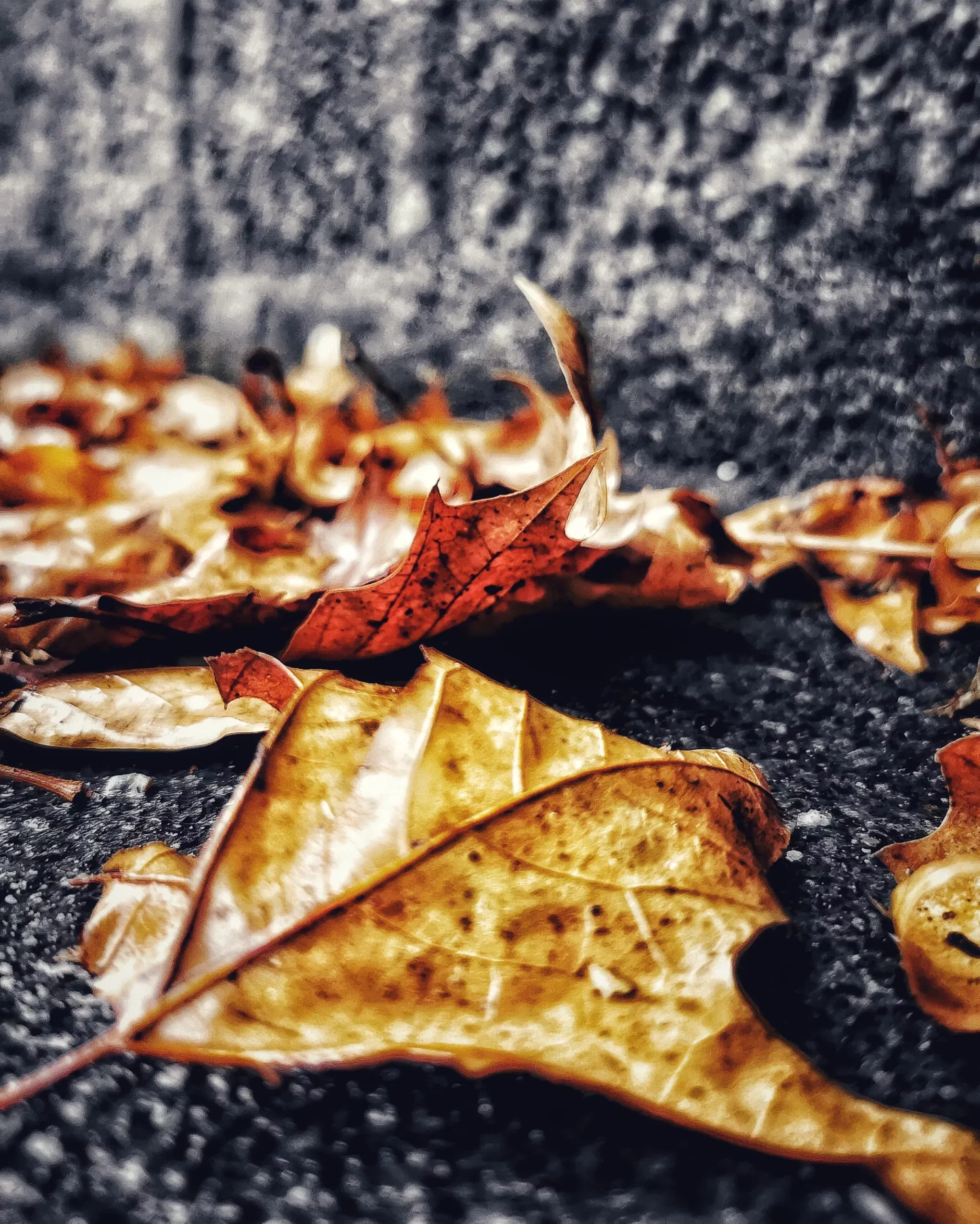 Los pequeños detalles 55 – Fotografía creativa móvil en Barakaldo | Ibarakaldo