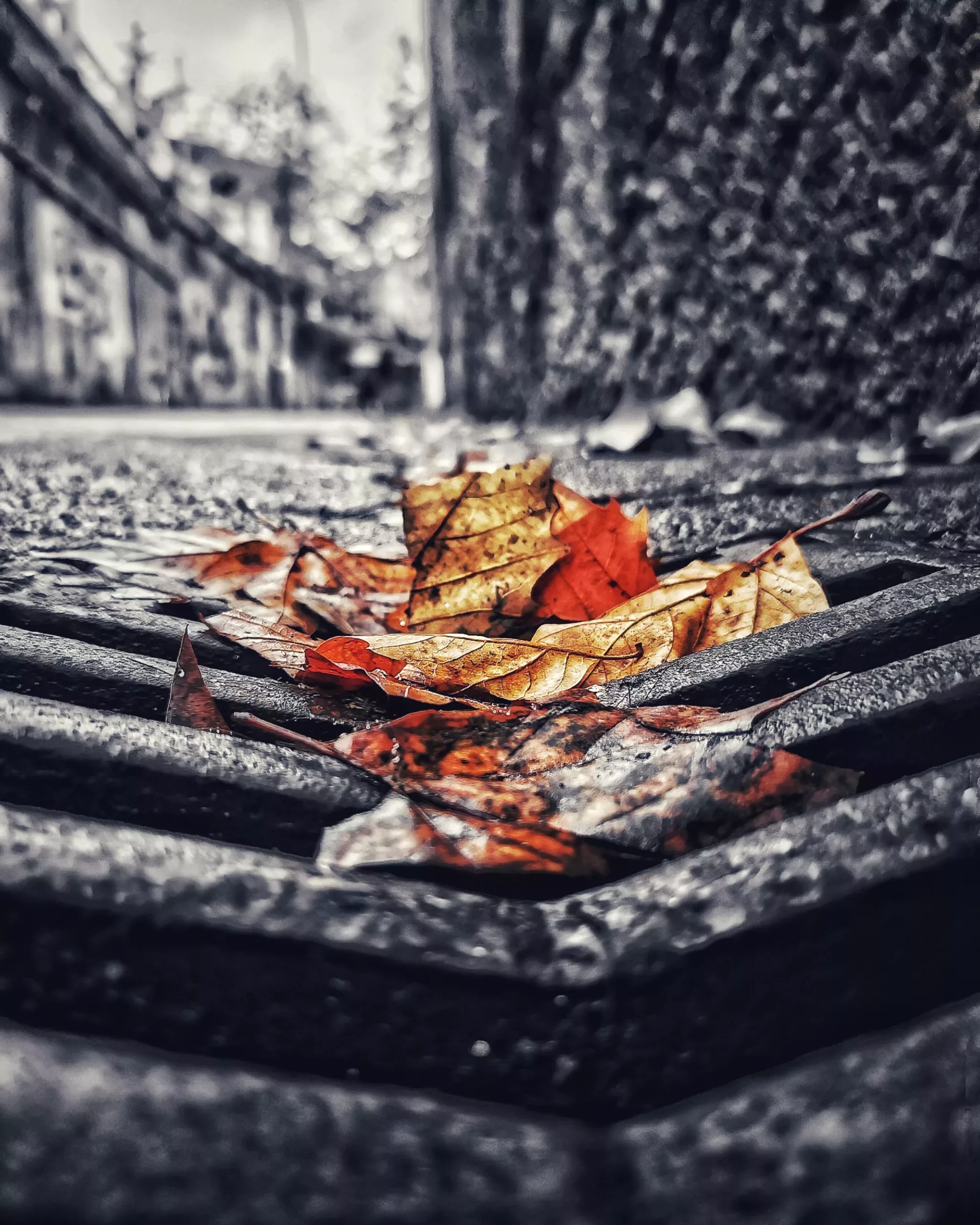 Los pequeños detalles 53 – Fotografía creativa móvil en Barakaldo | Ibarakaldo