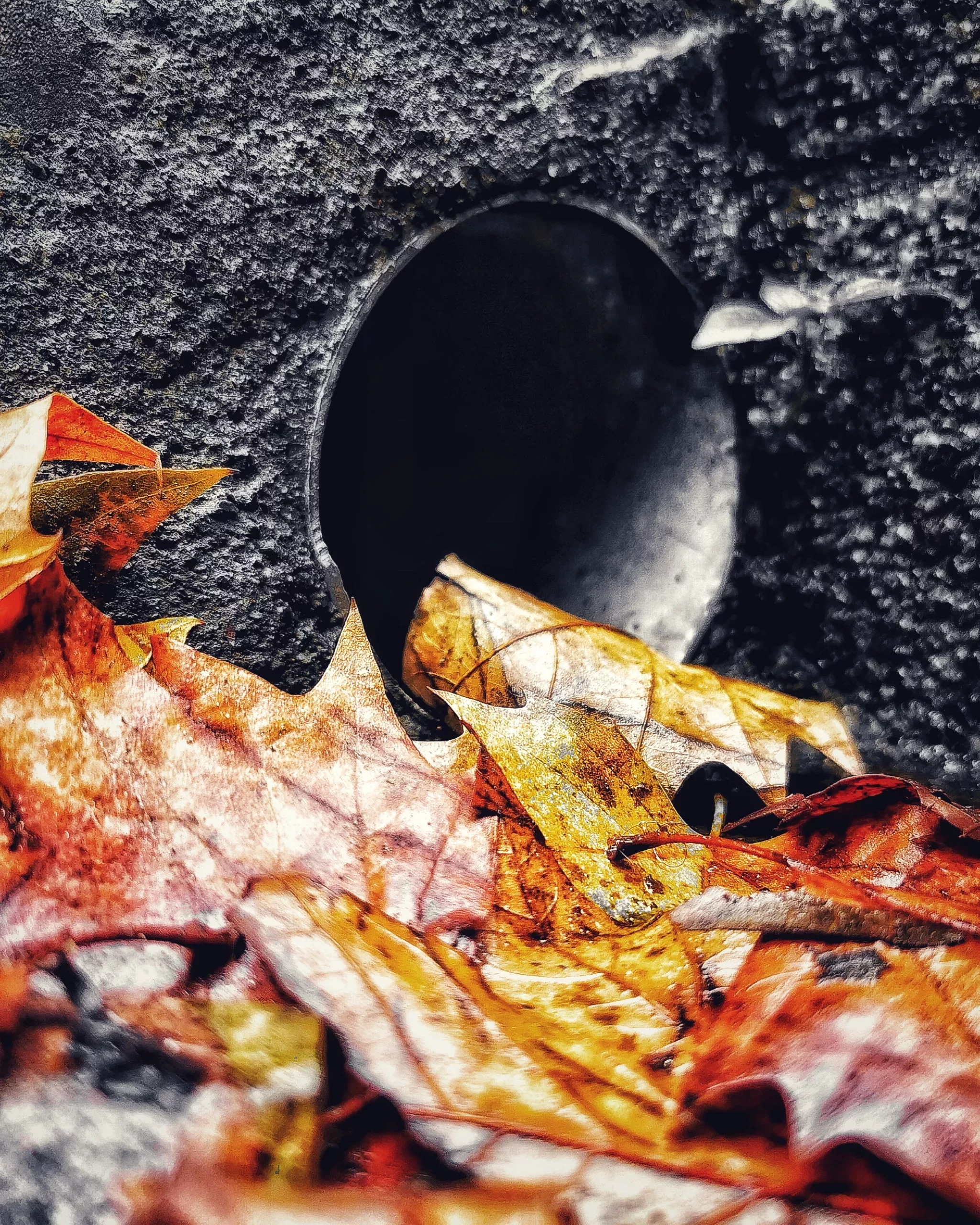 Los pequeños detalles 54 – Fotografía creativa móvil en Barakaldo | Ibarakaldo