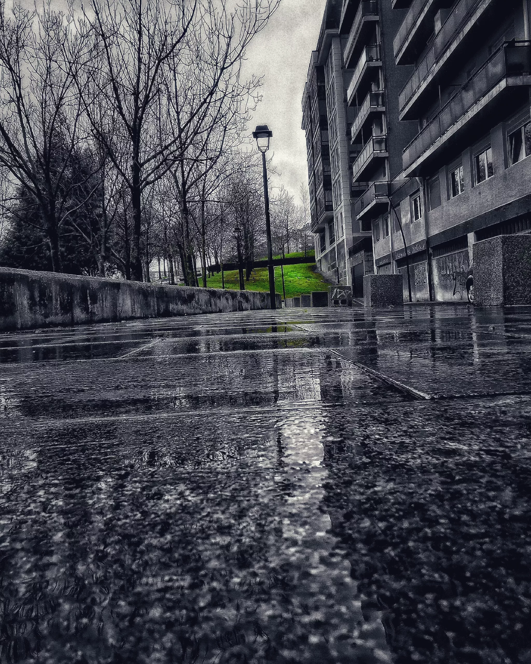 Colors…Verde | Momentos Splash. Fotografía Creativa Ibarakaldo