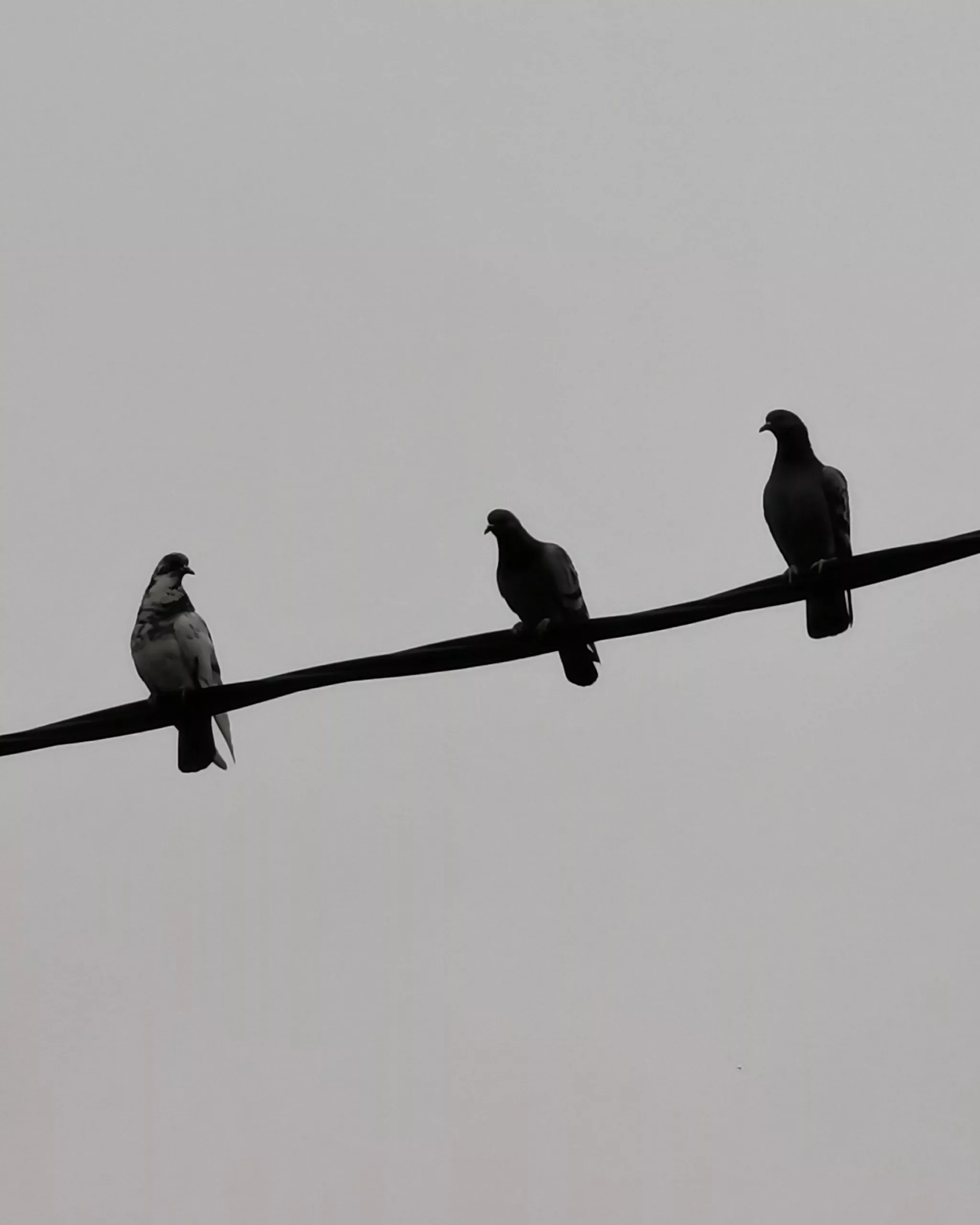 Llamalo X… – Fotografía creativa móvil en Barakaldo | Ibarakaldo