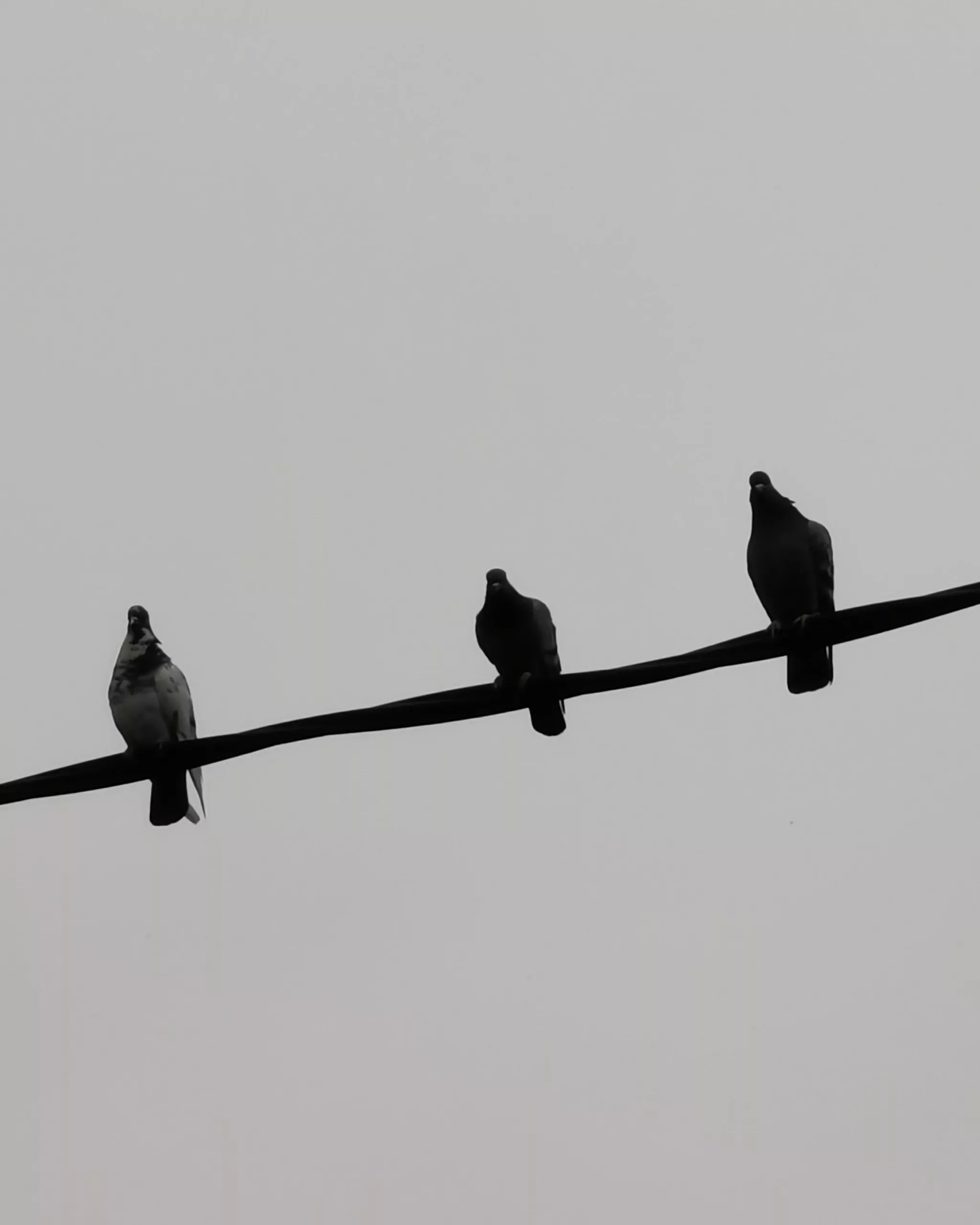 Llamalo X… 2 – Fotografía creativa móvil en Barakaldo | Ibarakaldo