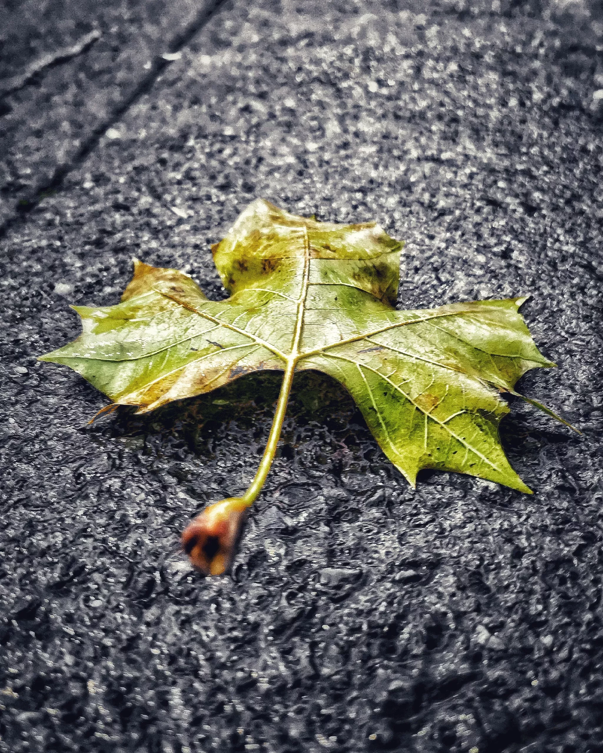 Los pequeños detalles 56 – Fotografía creativa móvil en Barakaldo | Ibarakaldo