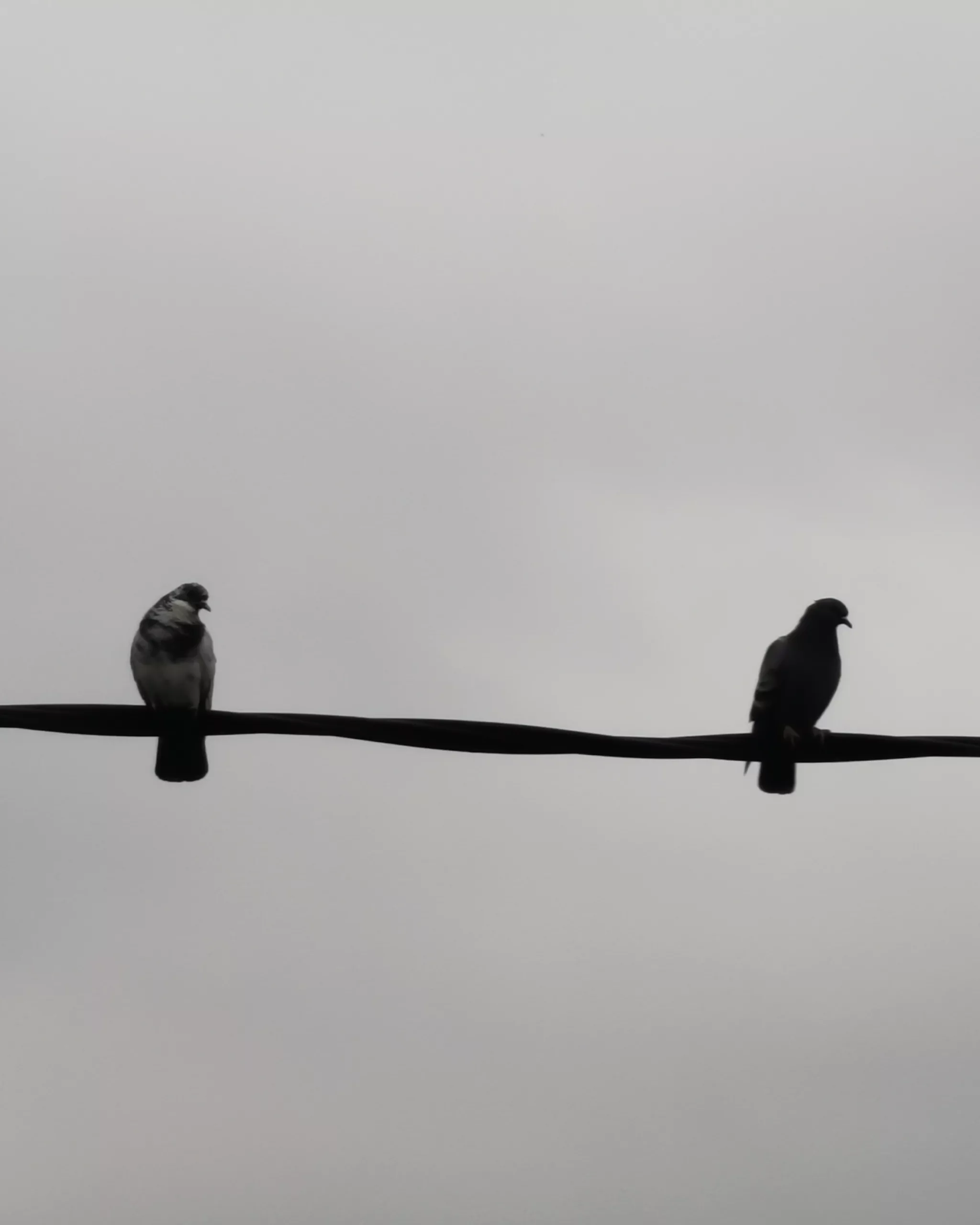 Llamalo X… 4 – Fotografía creativa móvil en Barakaldo | Ibarakaldo