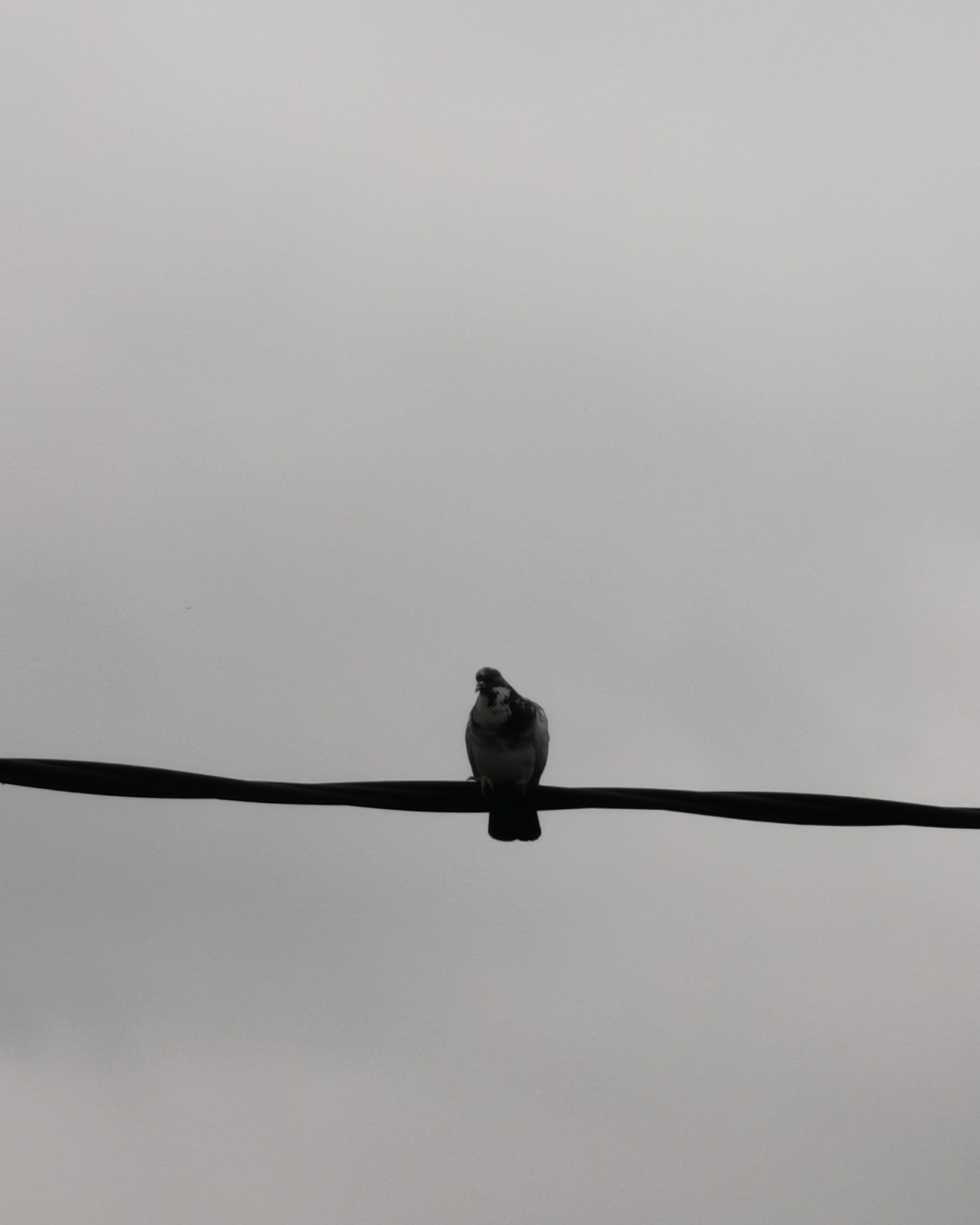 Llamalo X… 6 – Fotografía creativa móvil en Barakaldo | Ibarakaldo