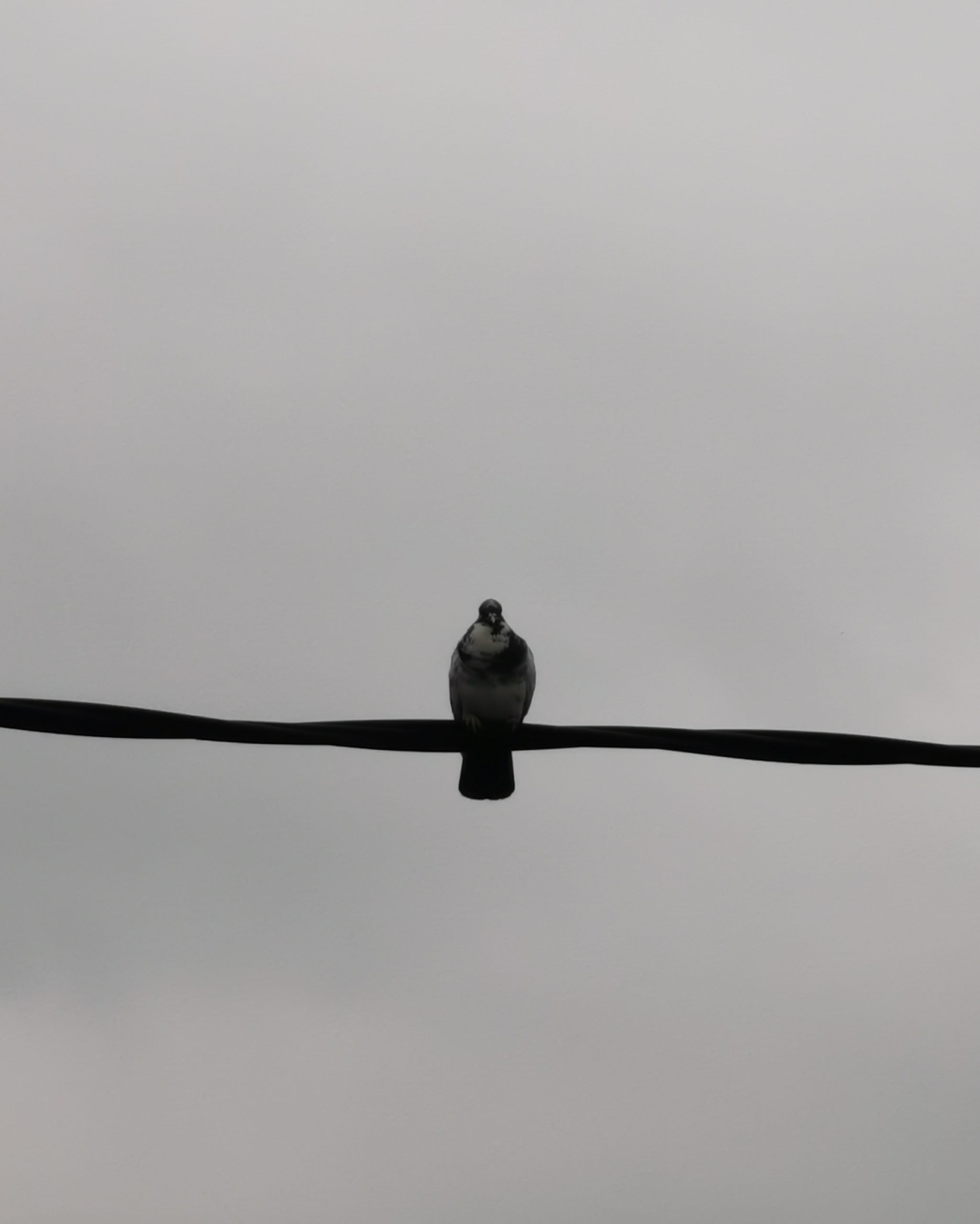 Llamalo X… 5 – Fotografía creativa móvil en Barakaldo | Ibarakaldo