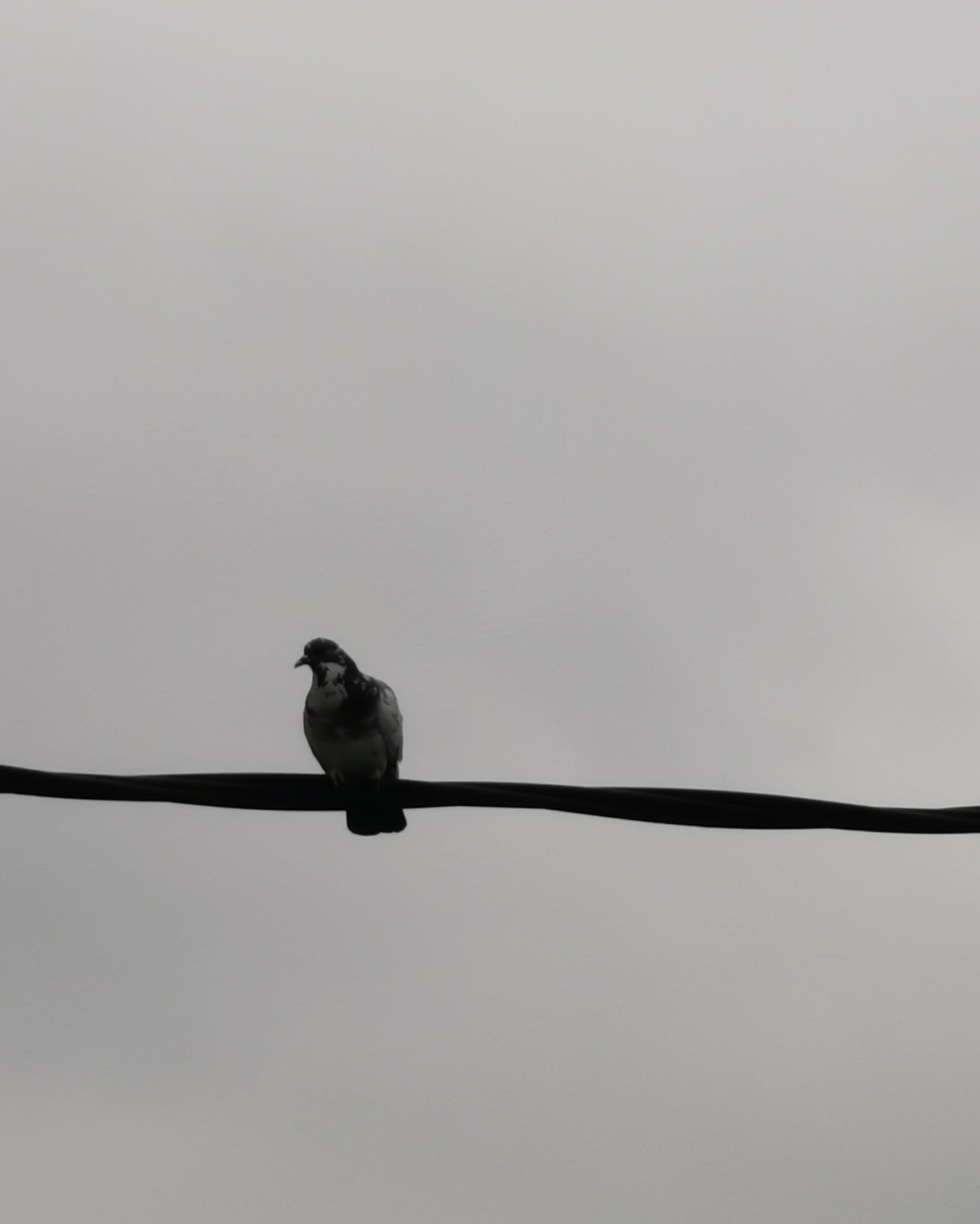 Llamalo X… 8 –  Fotografía creativa móvil en Barakaldo | Ibarakaldo