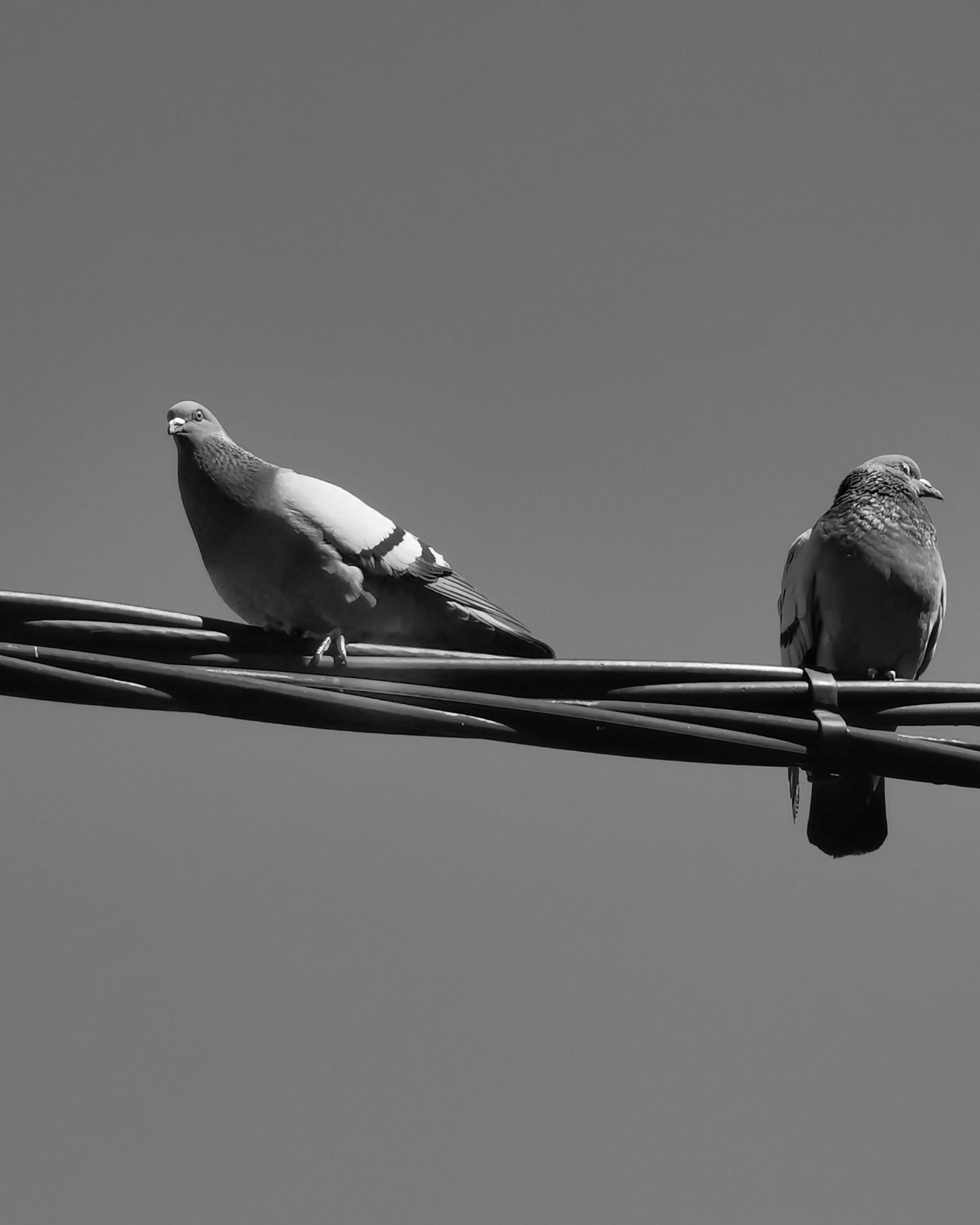 Llamalo X… 7 –  Fotografía creativa móvil en Barakaldo | Ibarakaldo