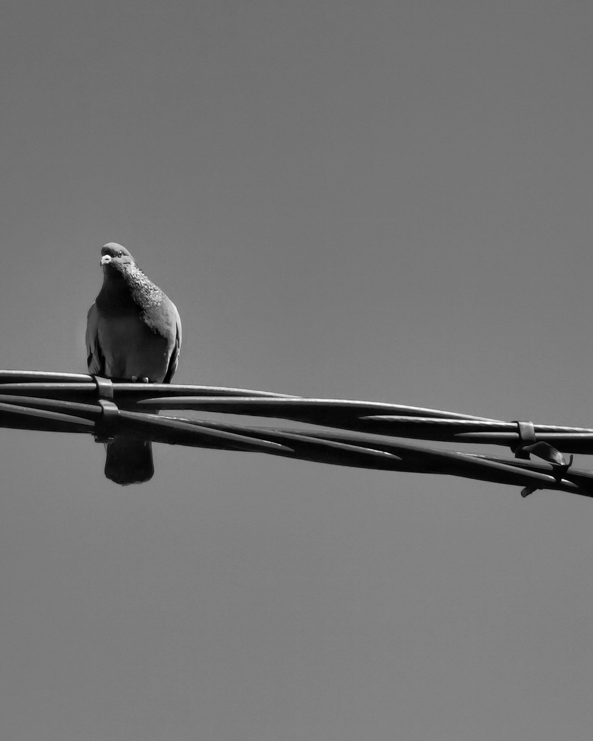 Llamalo X… 9 – Fotografía creativa móvil en Barakaldo | Ibarakaldo