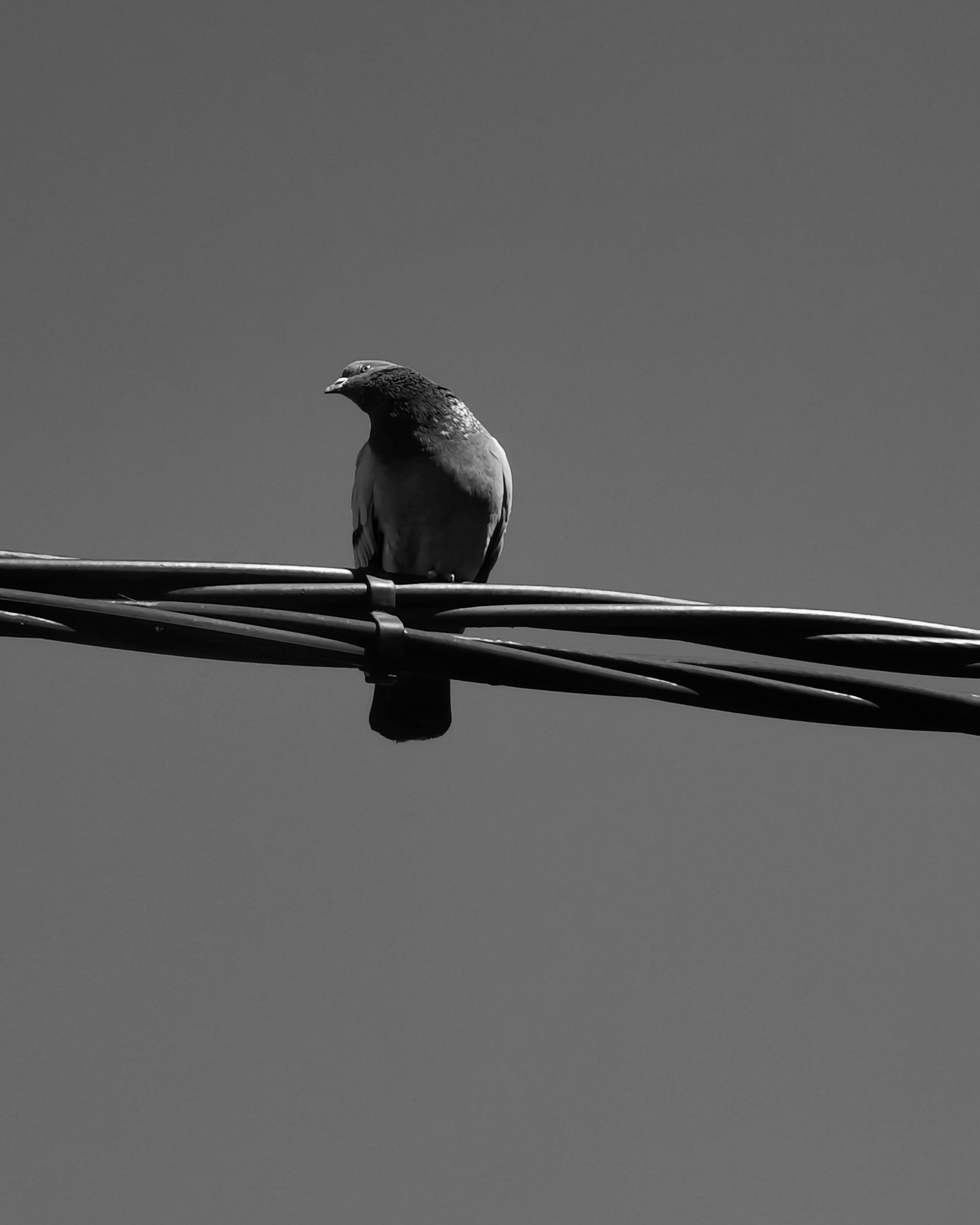 Llamalo X… 10 – Fotografía creativa móvil en Barakaldo | Ibarakaldo