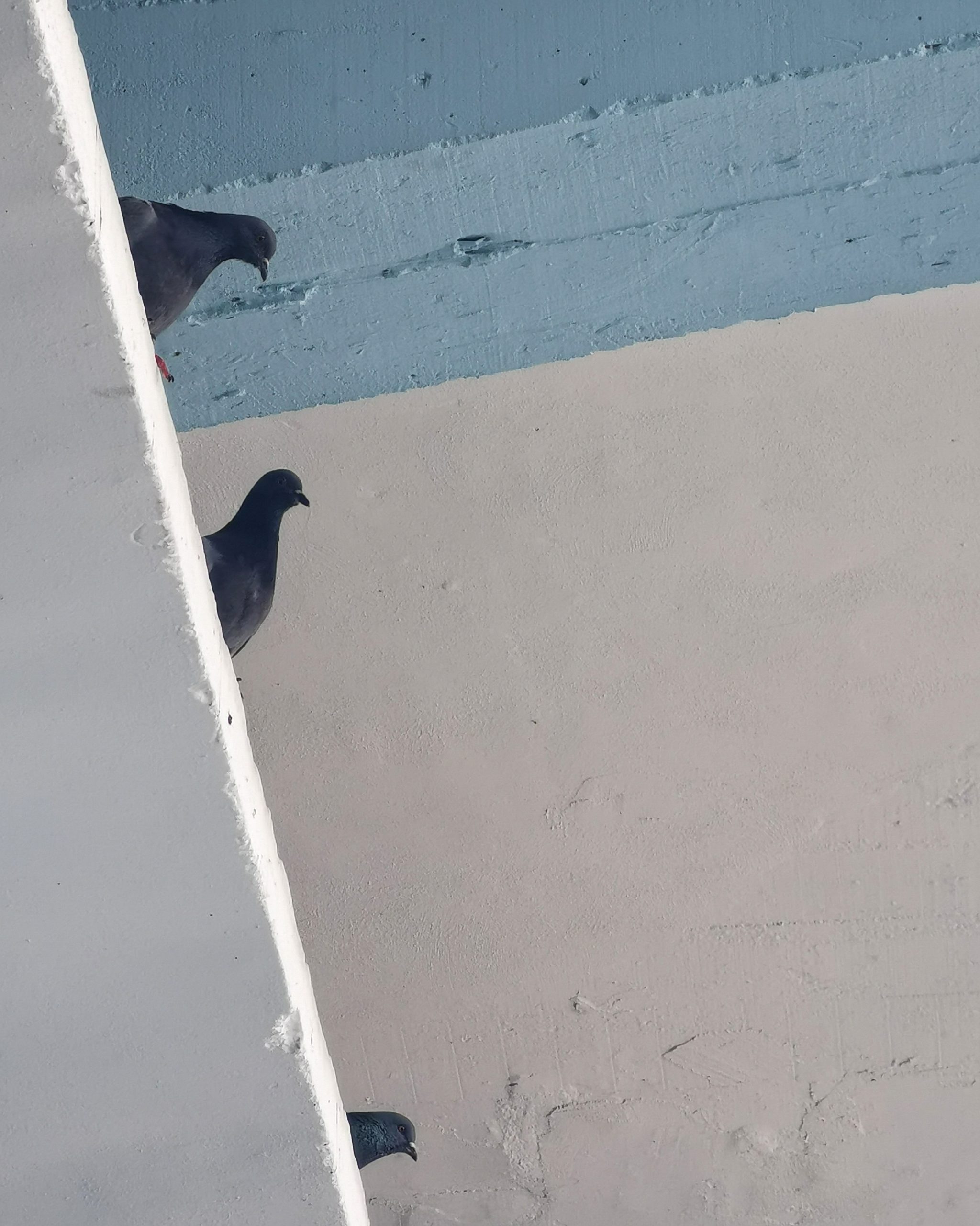 Pero pasalaaaaaa …. – Fotografía creativa móvil en Barakaldo | Ibarakaldo