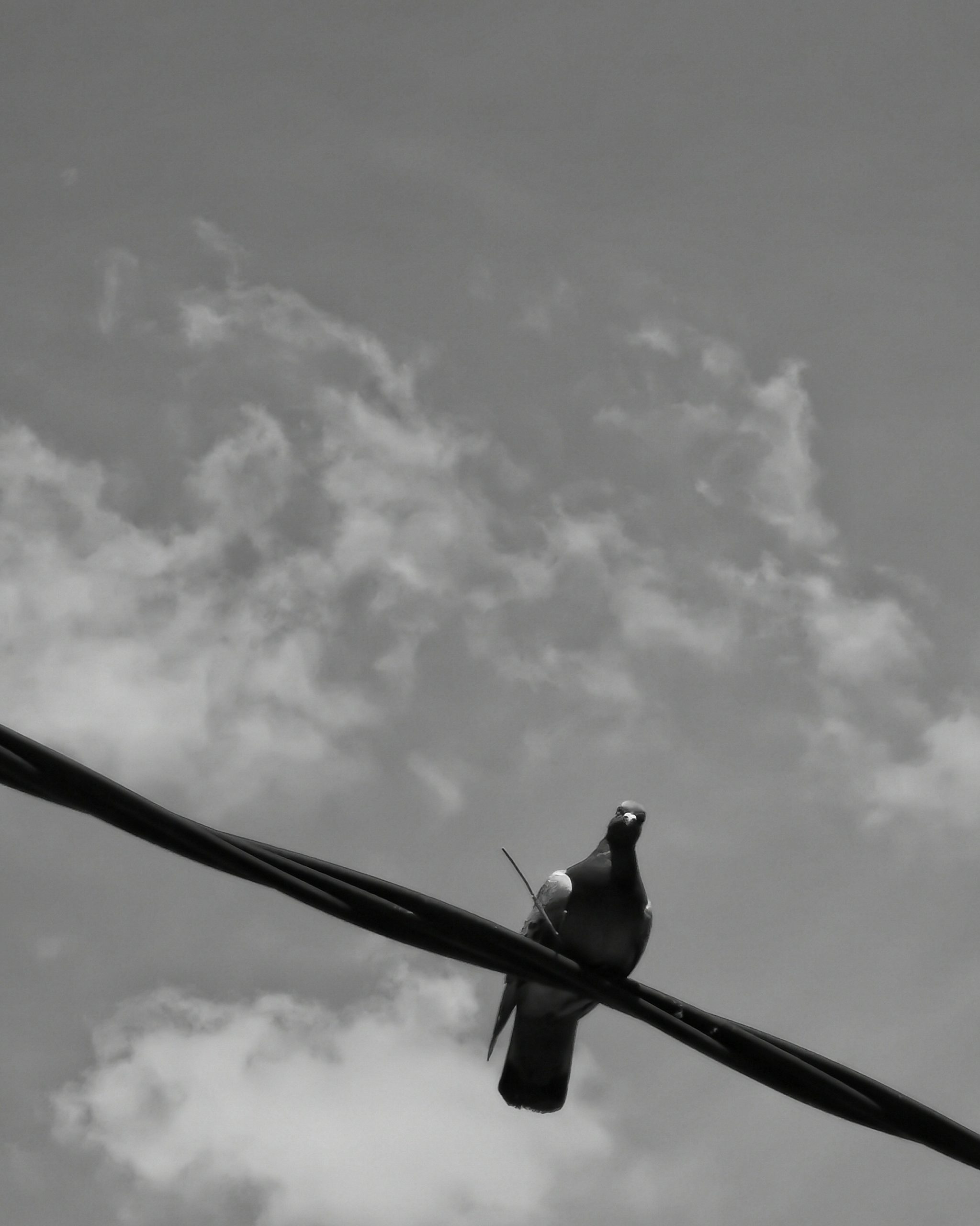 Llamalo X… 11 – Fotografía creativa móvil en Barakaldo | Ibarakaldo