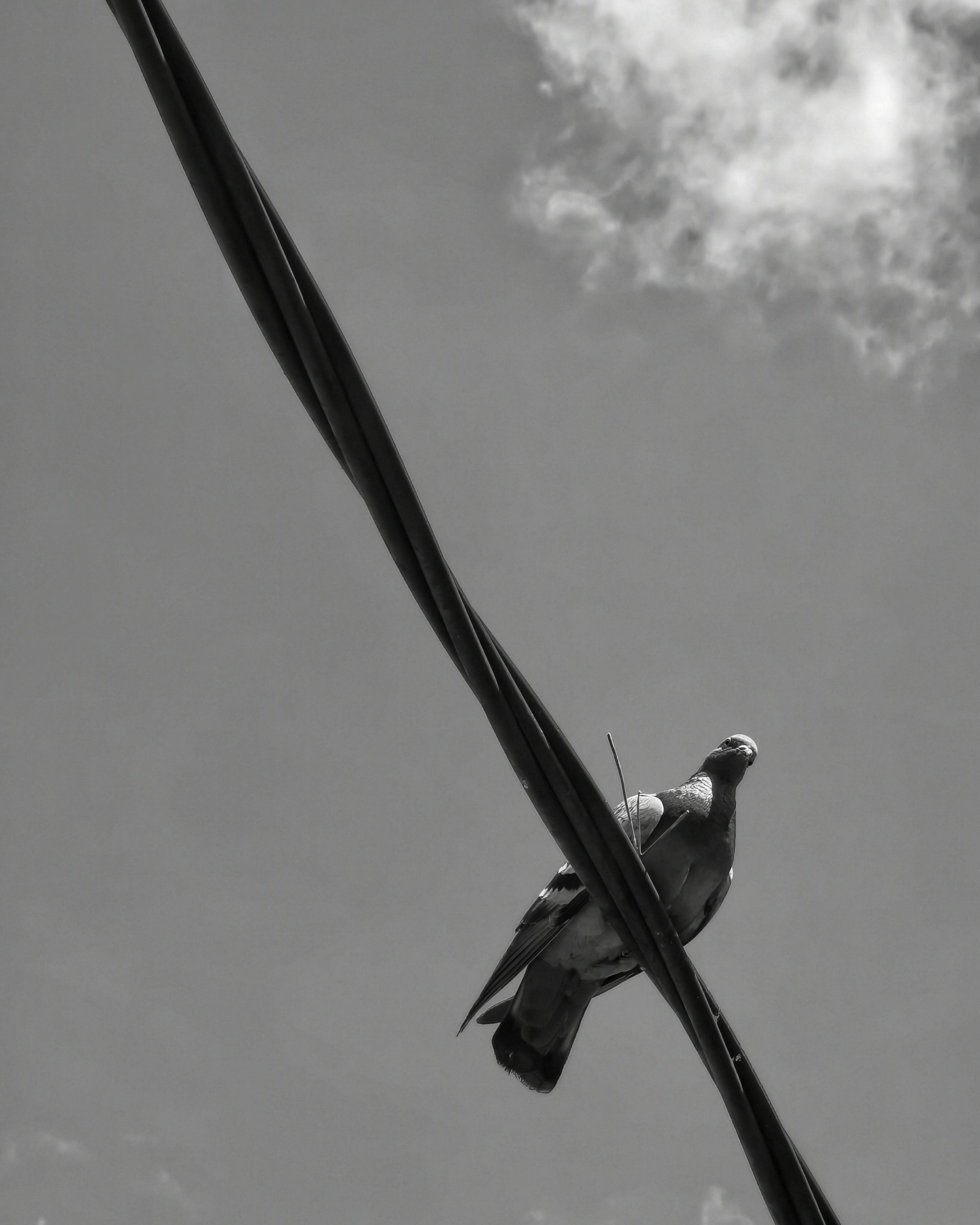 Llamalo X… 12 – Fotografía creativa móvil en Barakaldo | Ibarakaldo