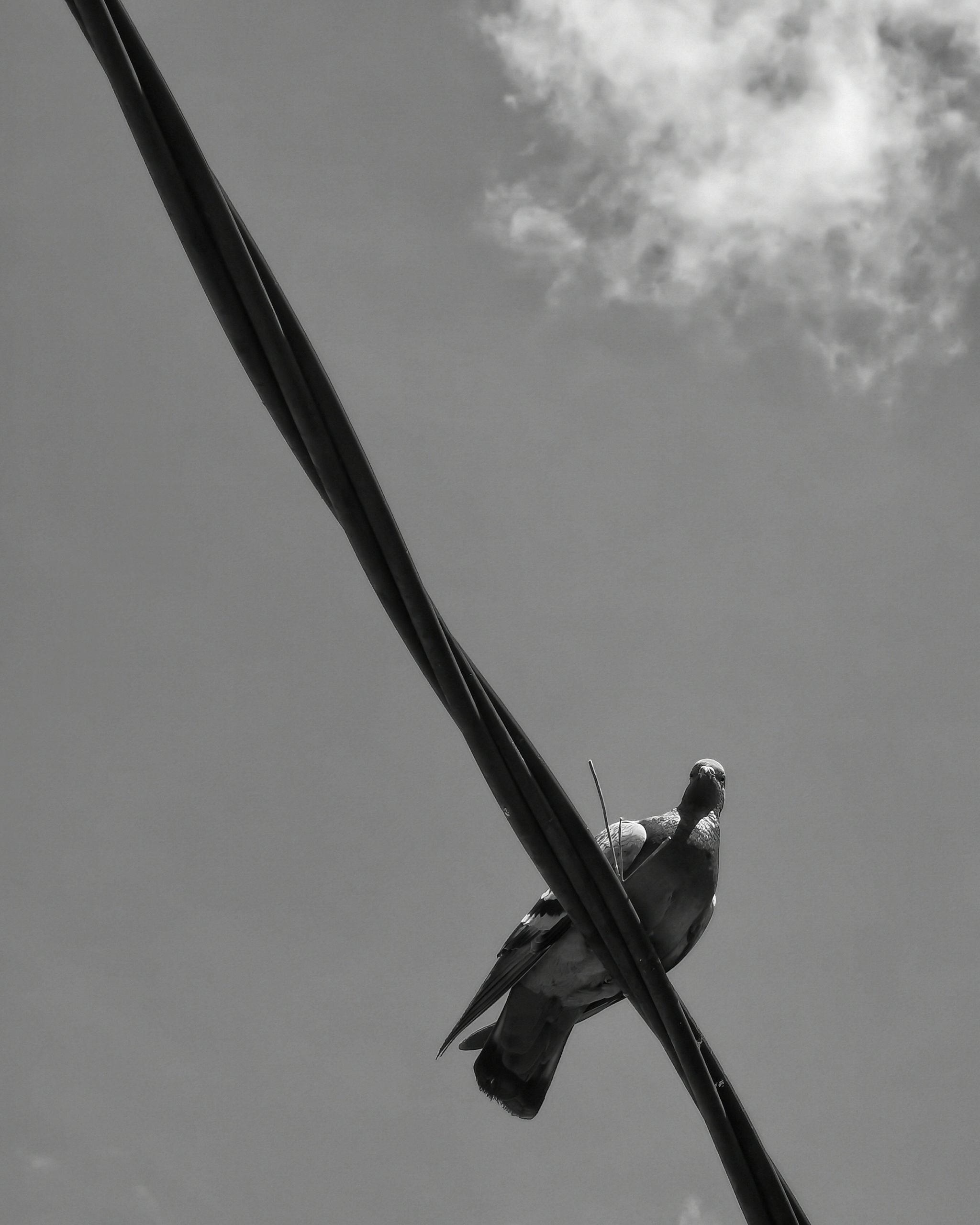 Llamalo X… 13 – Fotografía creativa móvil en Barakaldo | Ibarakaldo