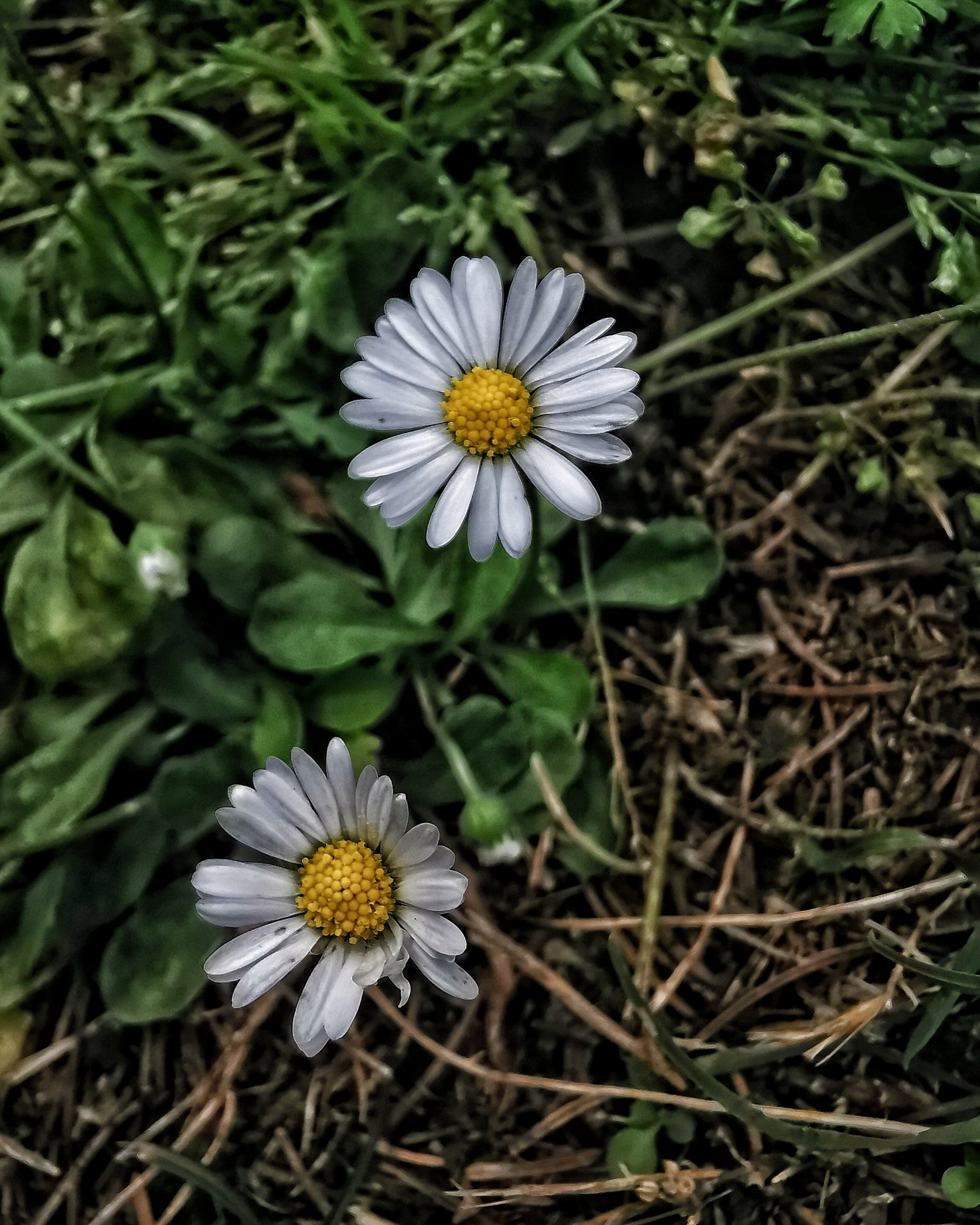 Momento…Relax – Fotografía creativa móvil en Barakaldo | Ibarakaldo