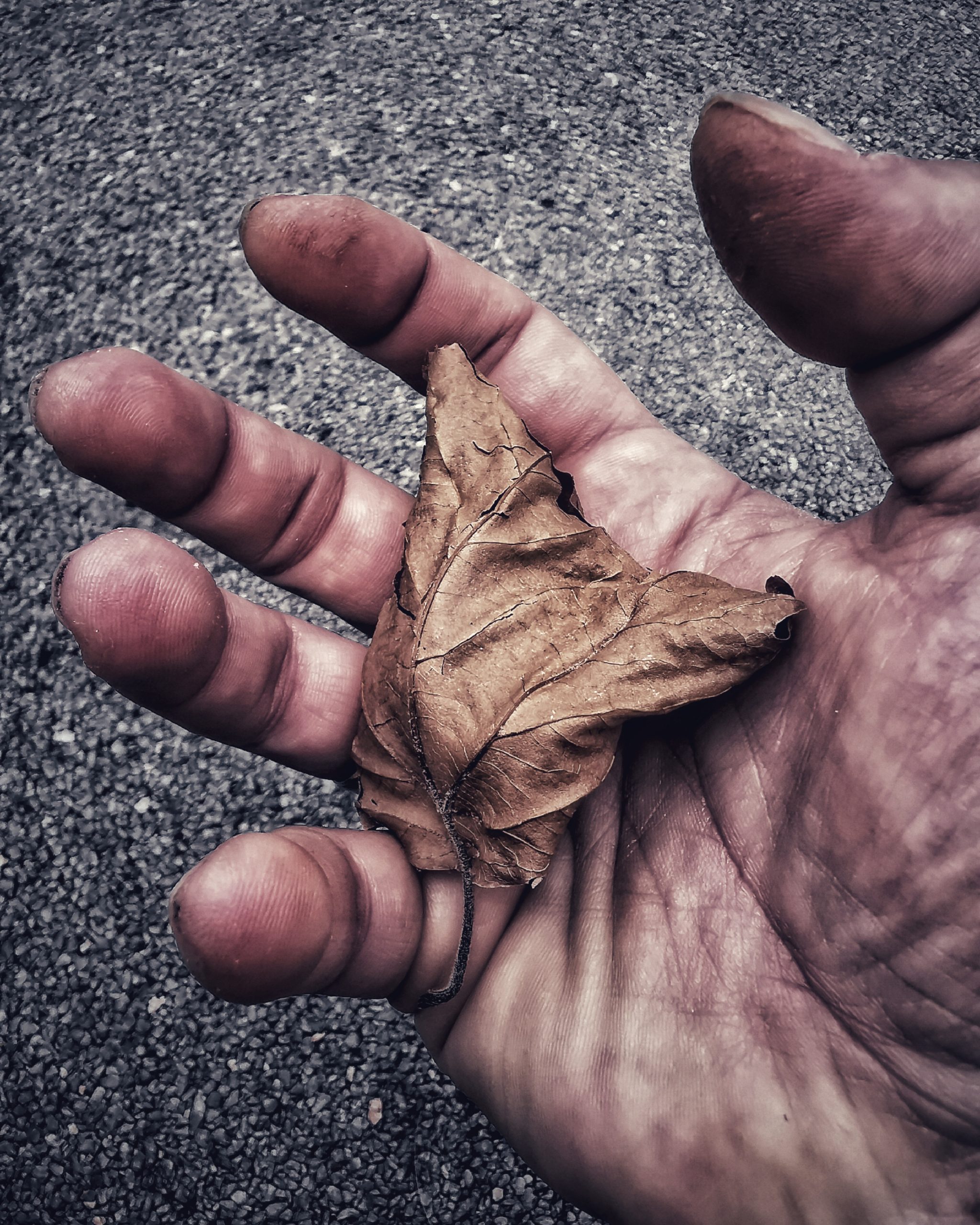 Los pequeños detalles 57 – Fotografía creativa móvil en Barakaldo | Ibarakaldo