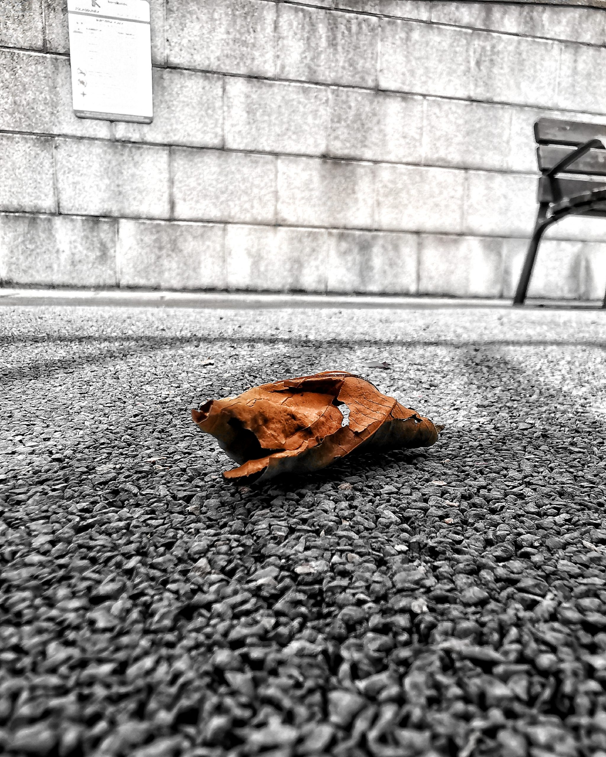 Los pequeños detalles 58 – Fotografía creativa móvil en Barakaldo | Ibarakaldo