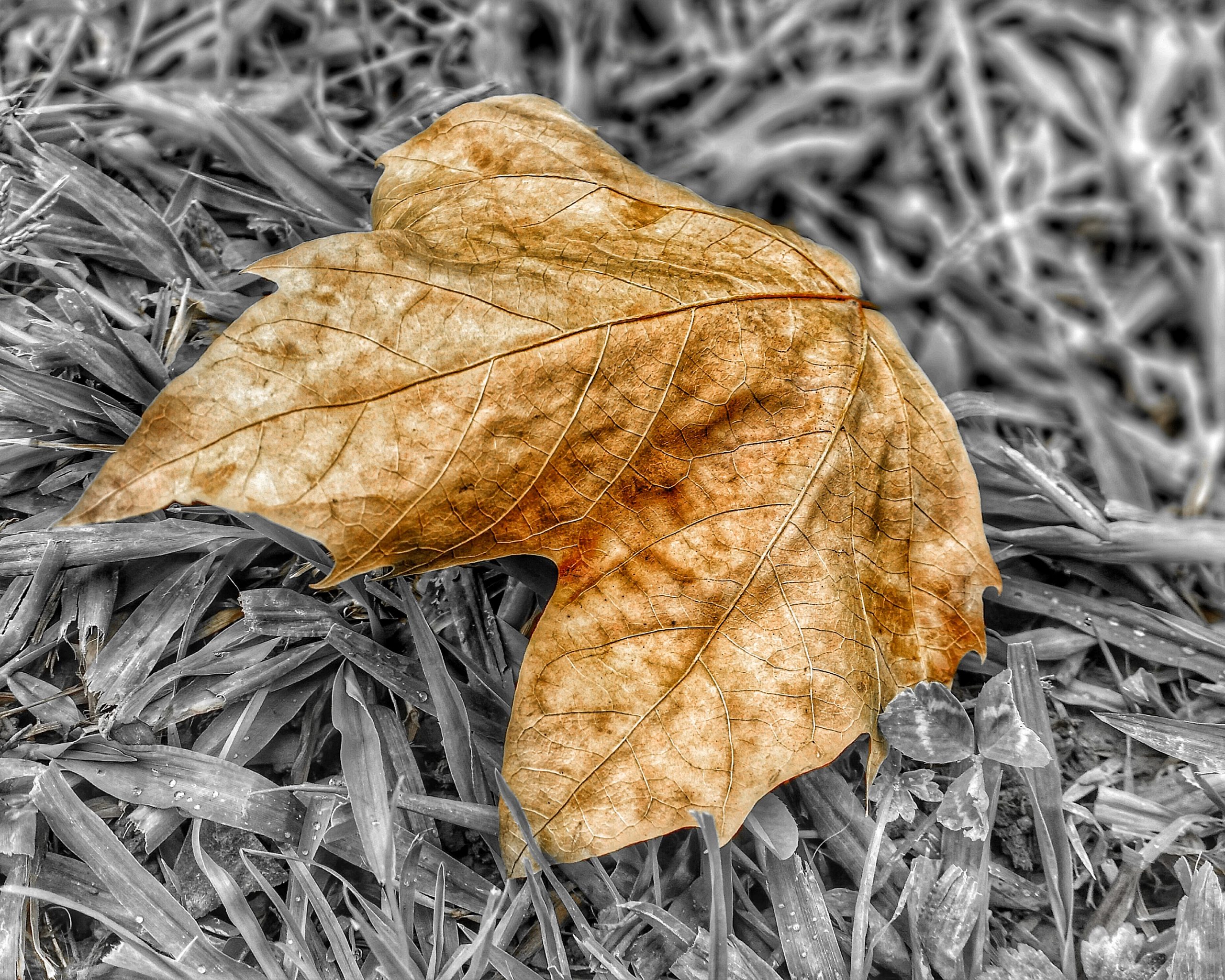 Los pequeños detalles 63 – Fotografía creativa móvil en Barakaldo | Ibarakaldo