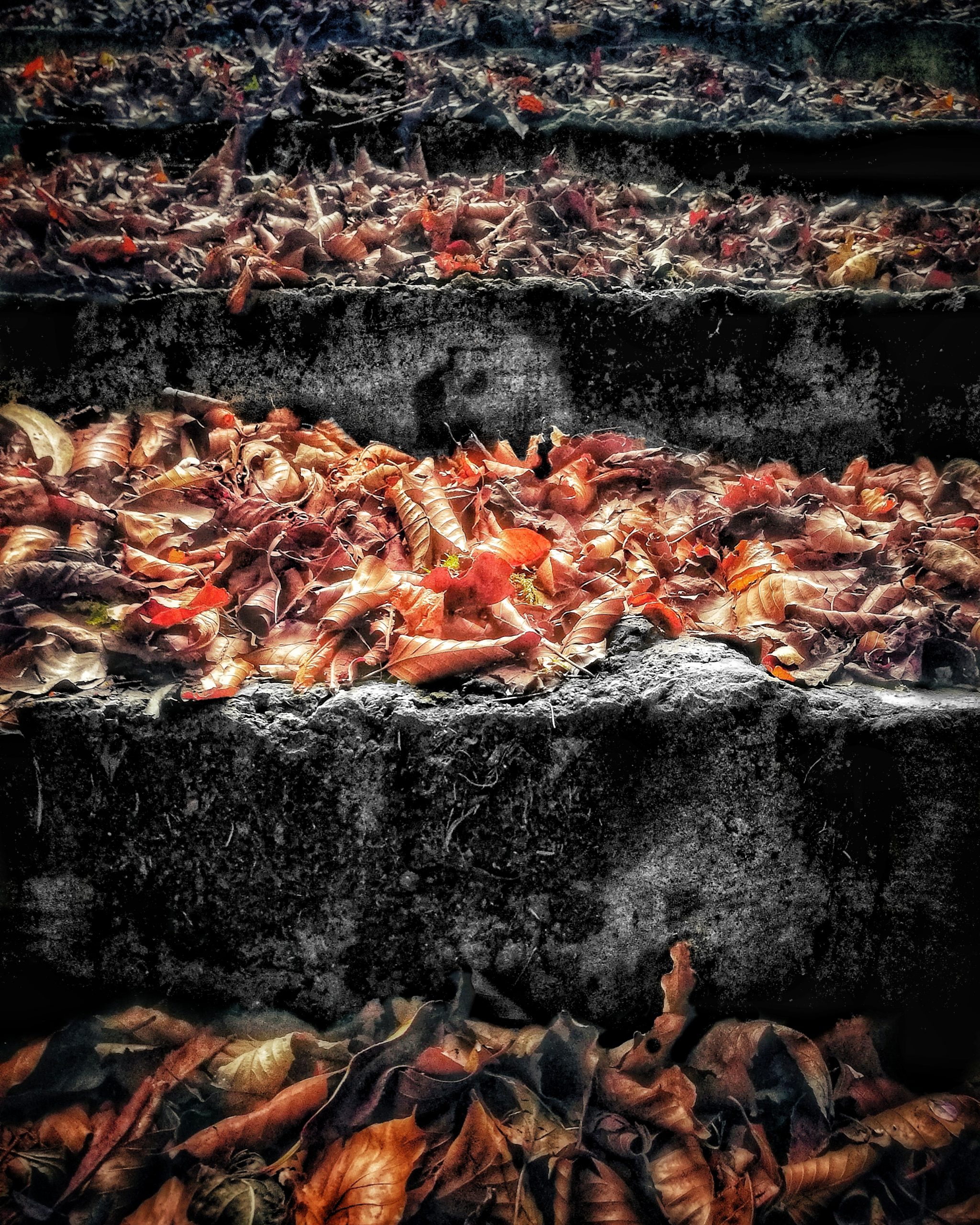 Los pequeños detalles 64 – Fotografía creativa móvil en Barakaldo | Ibarakaldo