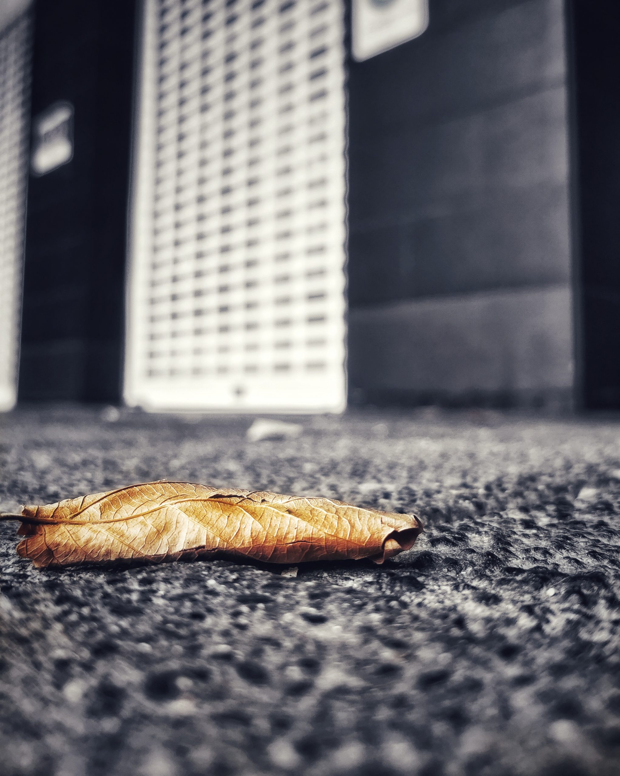 Los pequeños detalles 61 – Fotografía creativa móvil en Barakaldo | Ibarakaldo