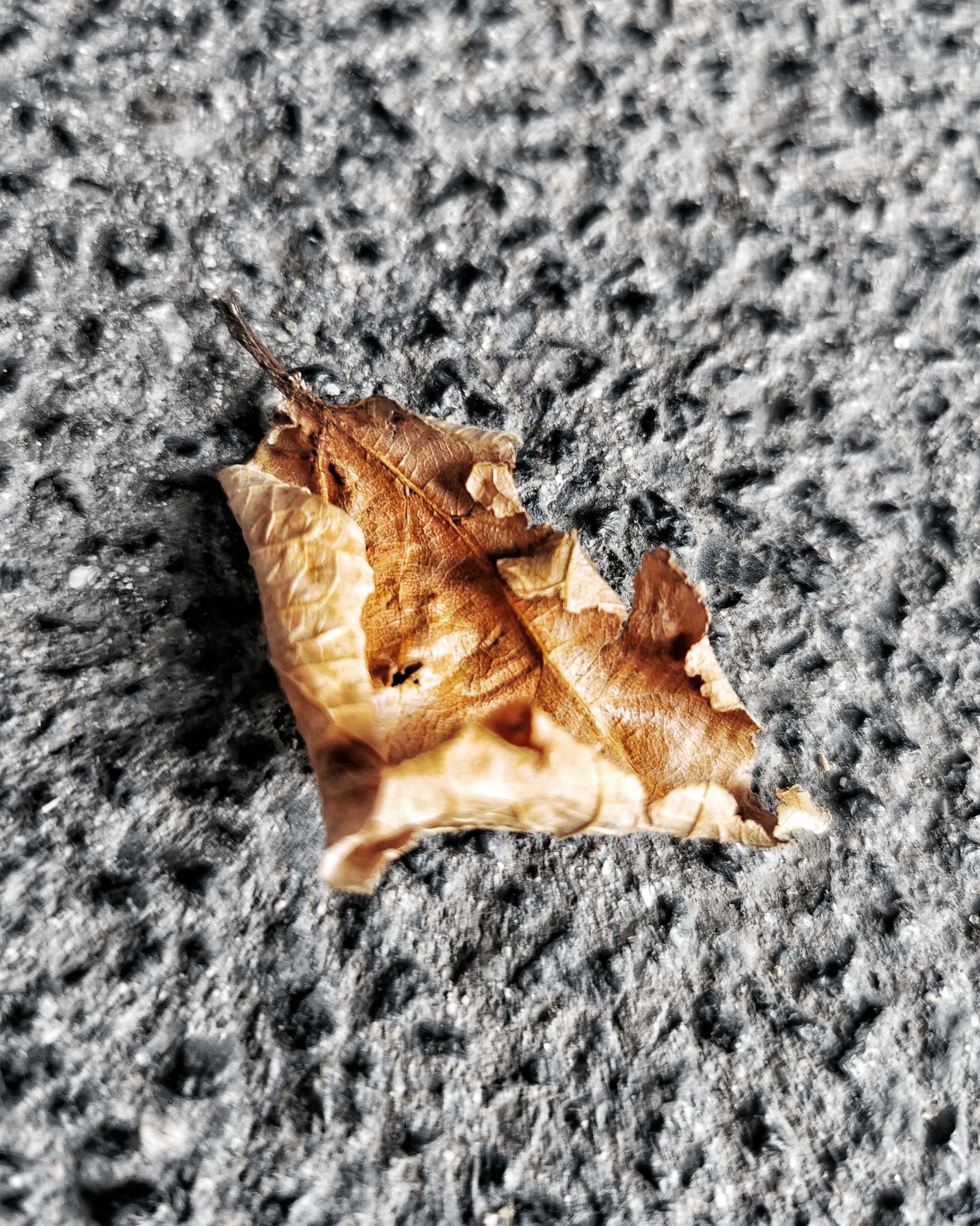 Los pequeños detalles 60 – Fotografía creativa móvil en Barakaldo | Ibarakaldo