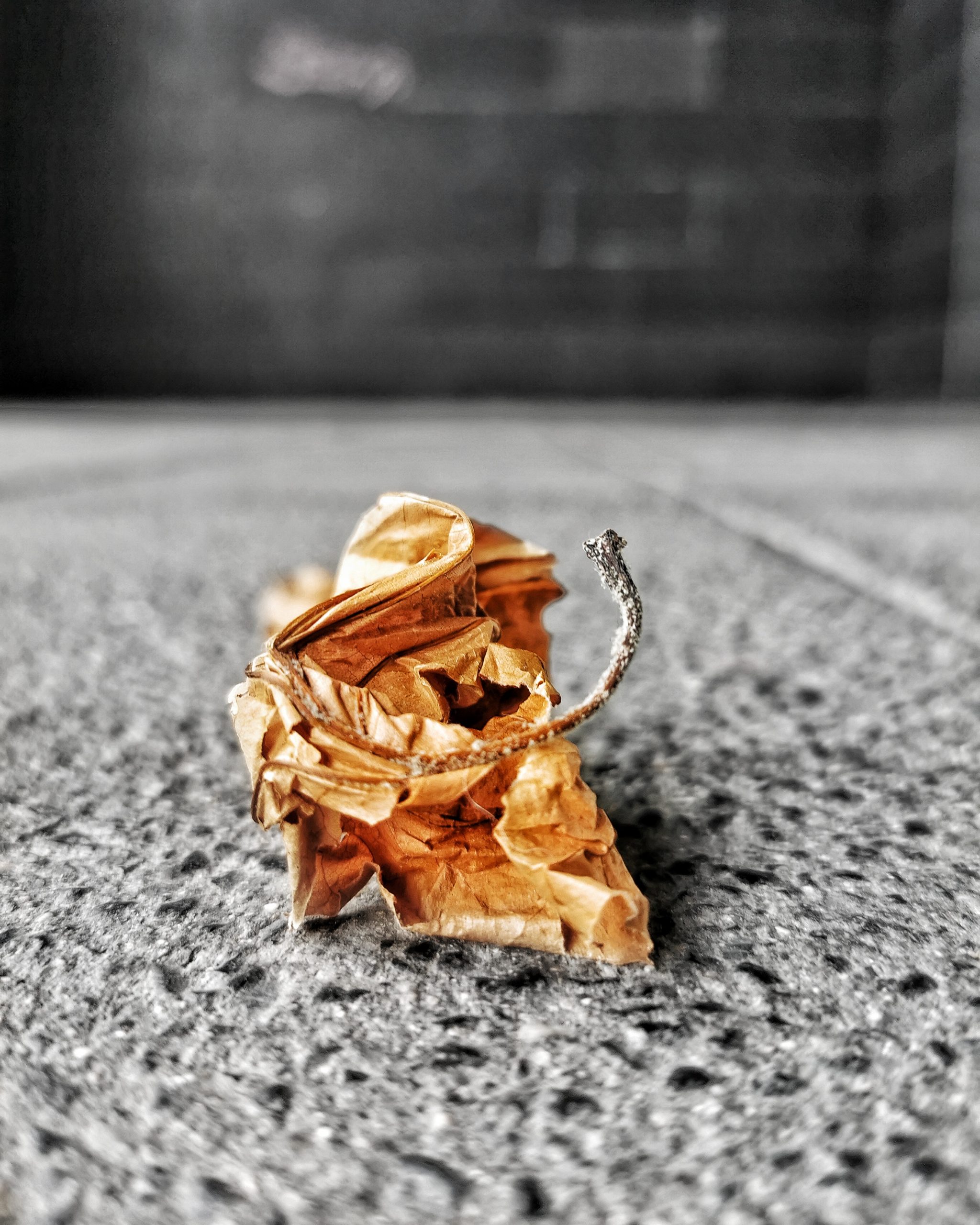 Los pequeños detalles 62 – Fotografía creativa móvil en Barakaldo | Ibarakaldo