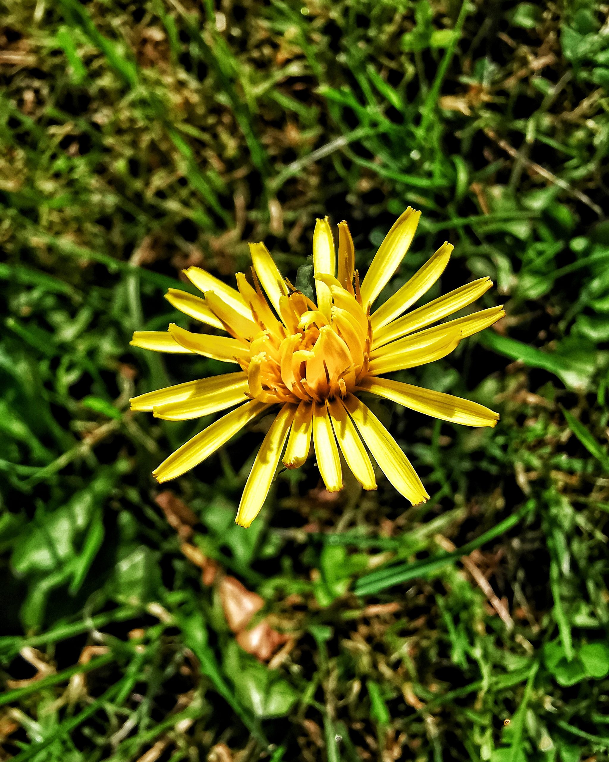 Momento…Relax 2 – Fotografía creativa móvil en Barakaldo | Ibarakaldo