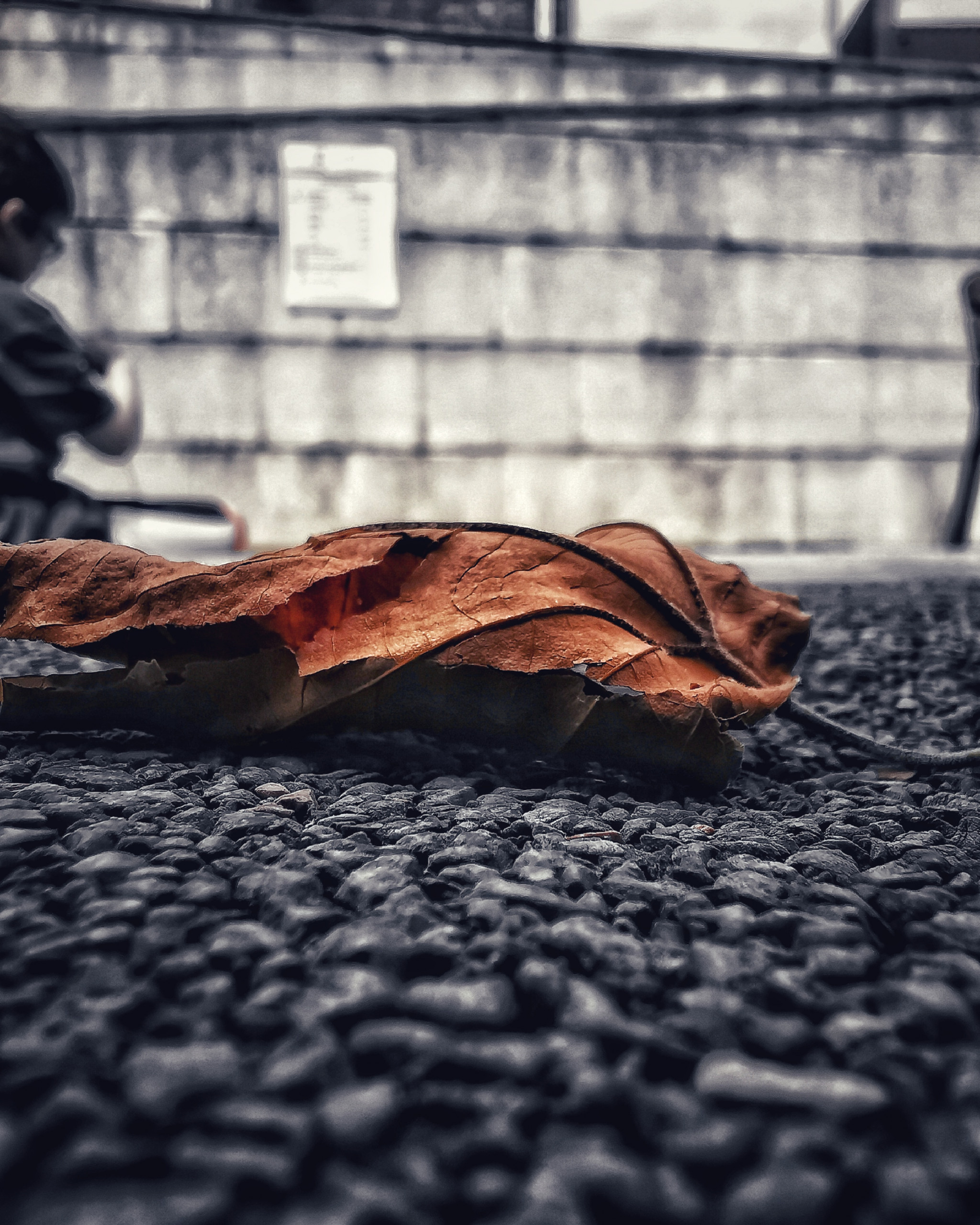 Los pequeños detalles 59 – Fotografía creativa móvil en Barakaldo | Ibarakaldo