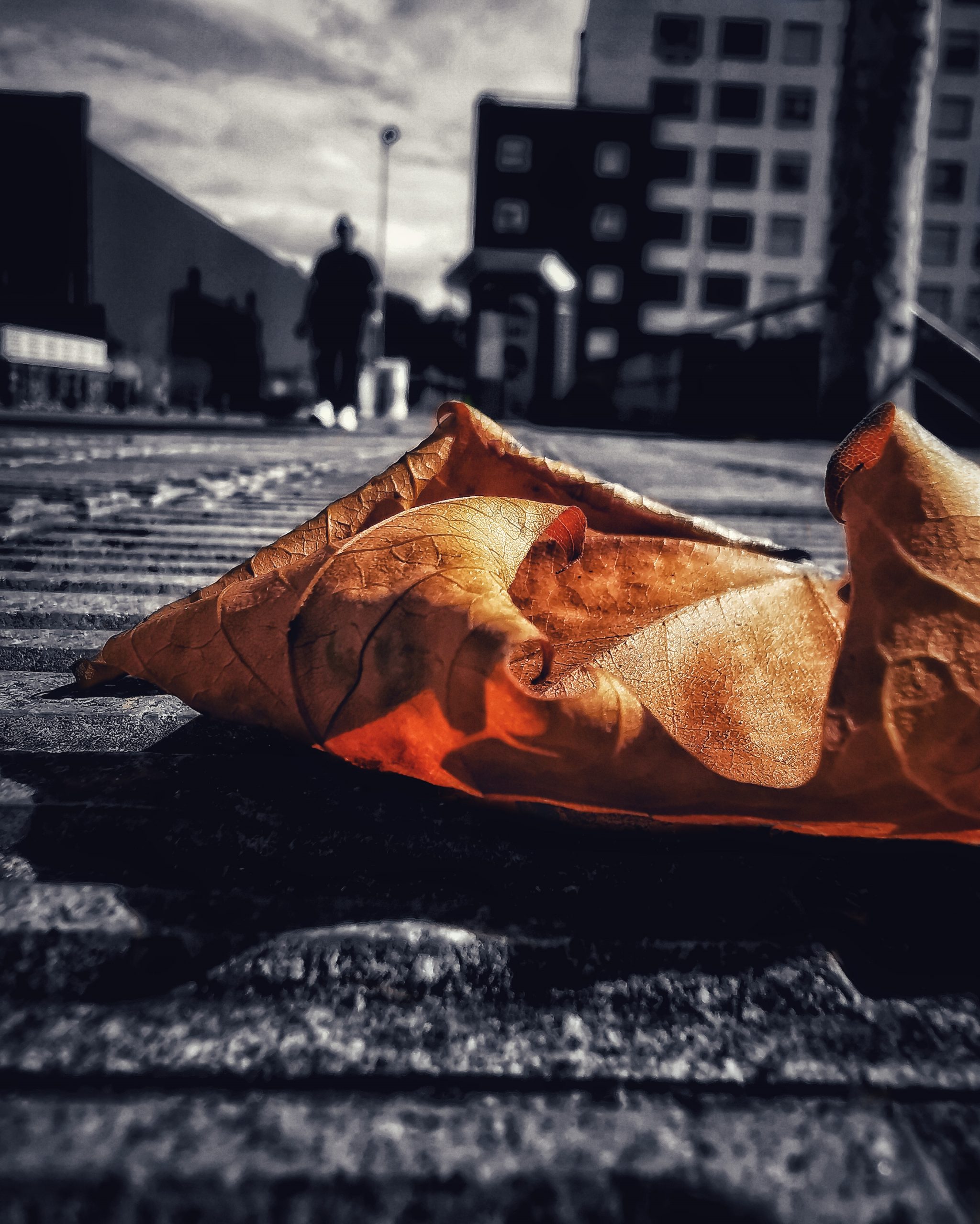 Los pequeños detalles 66 – Fotografía creativa móvil en Barakaldo | Ibarakaldo