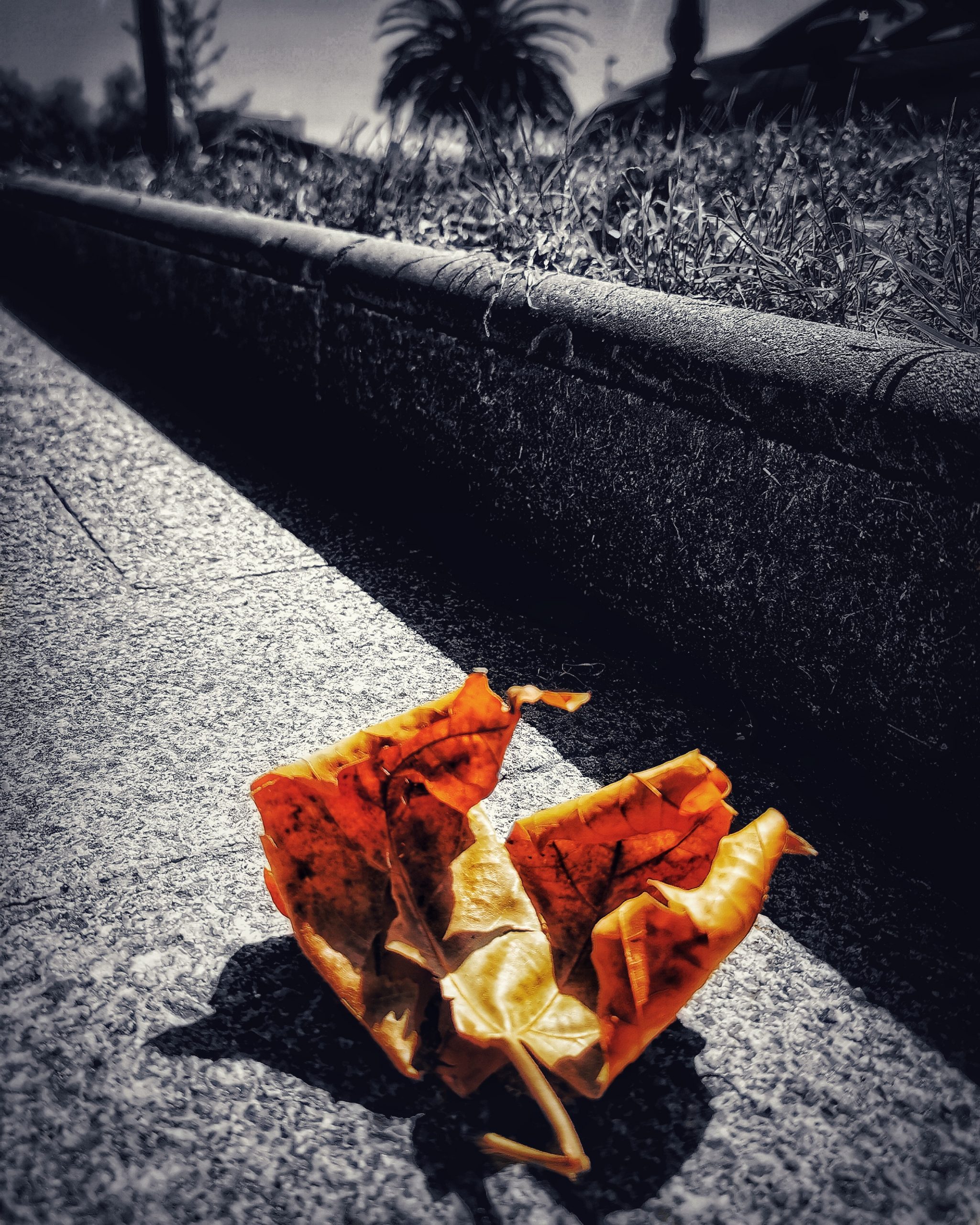 Los pequeños detalles 67 – Fotografía creativa móvil en Barakaldo | Ibarakaldo