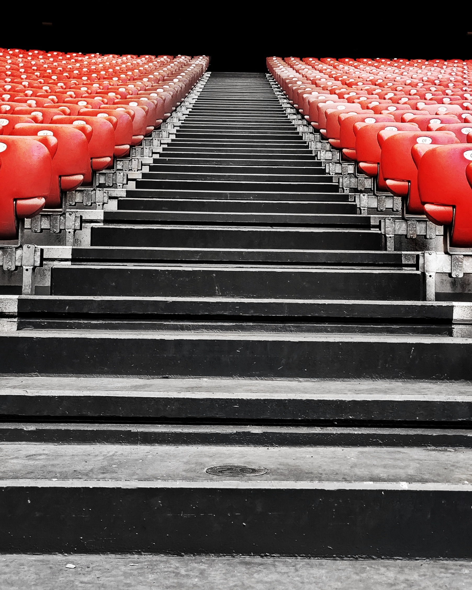 Pasion 2 … – Arte y fotografía en Bilbao | Ibarakaldo