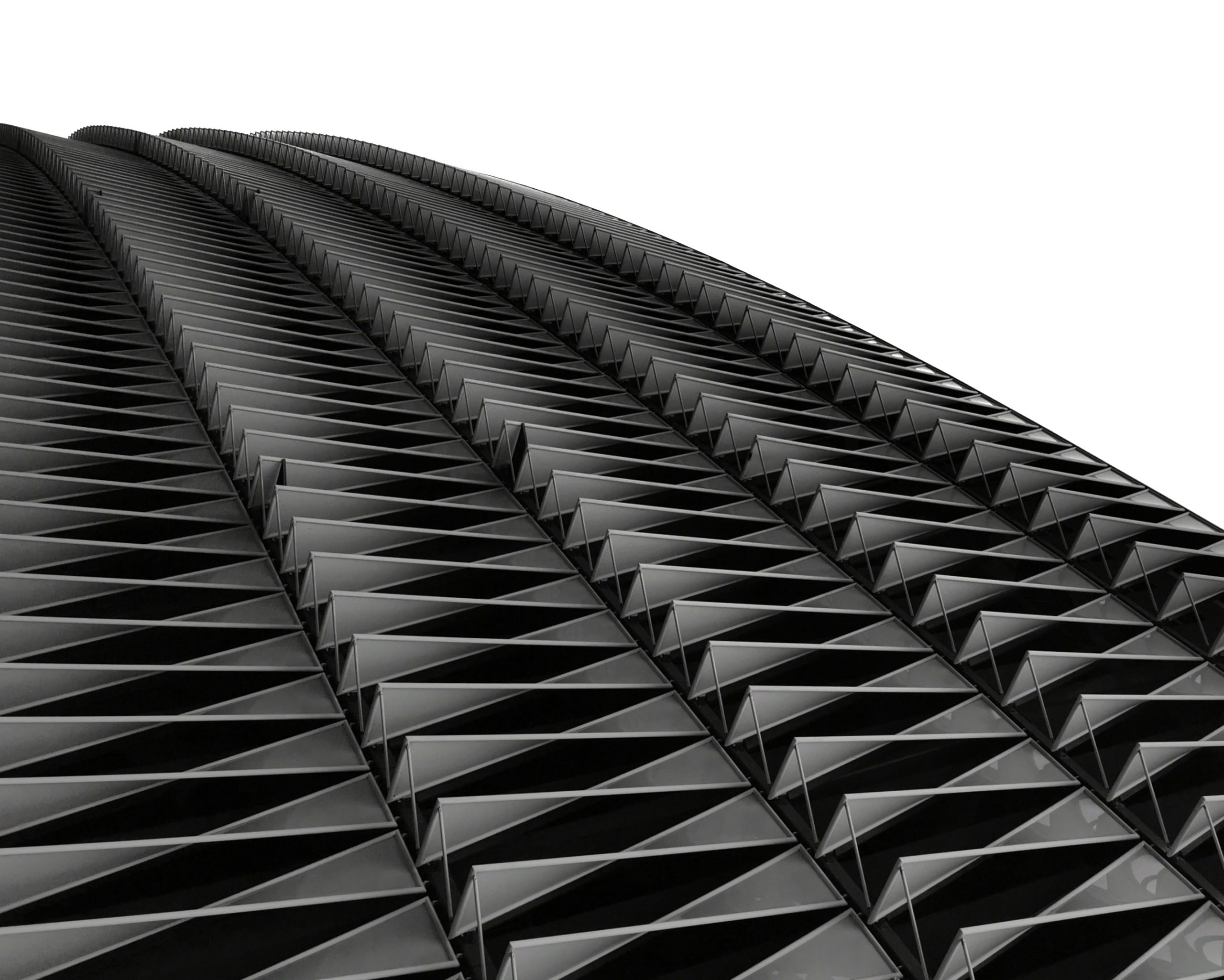 El Caparazon de la Bestia – Arte y fotografía en Bilbao | Ibarakaldo