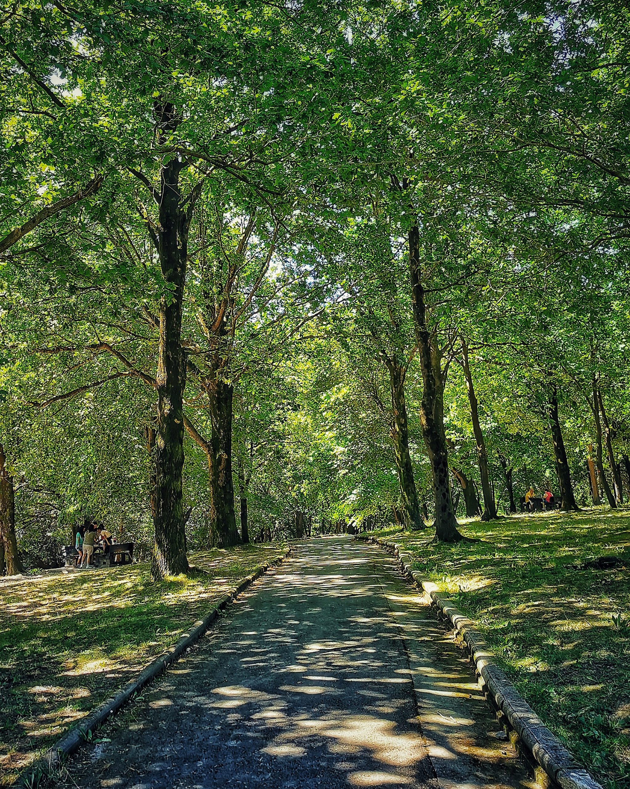 Camino 3 – Fotografía creativa móvil en Barakaldo | Ibarakaldo