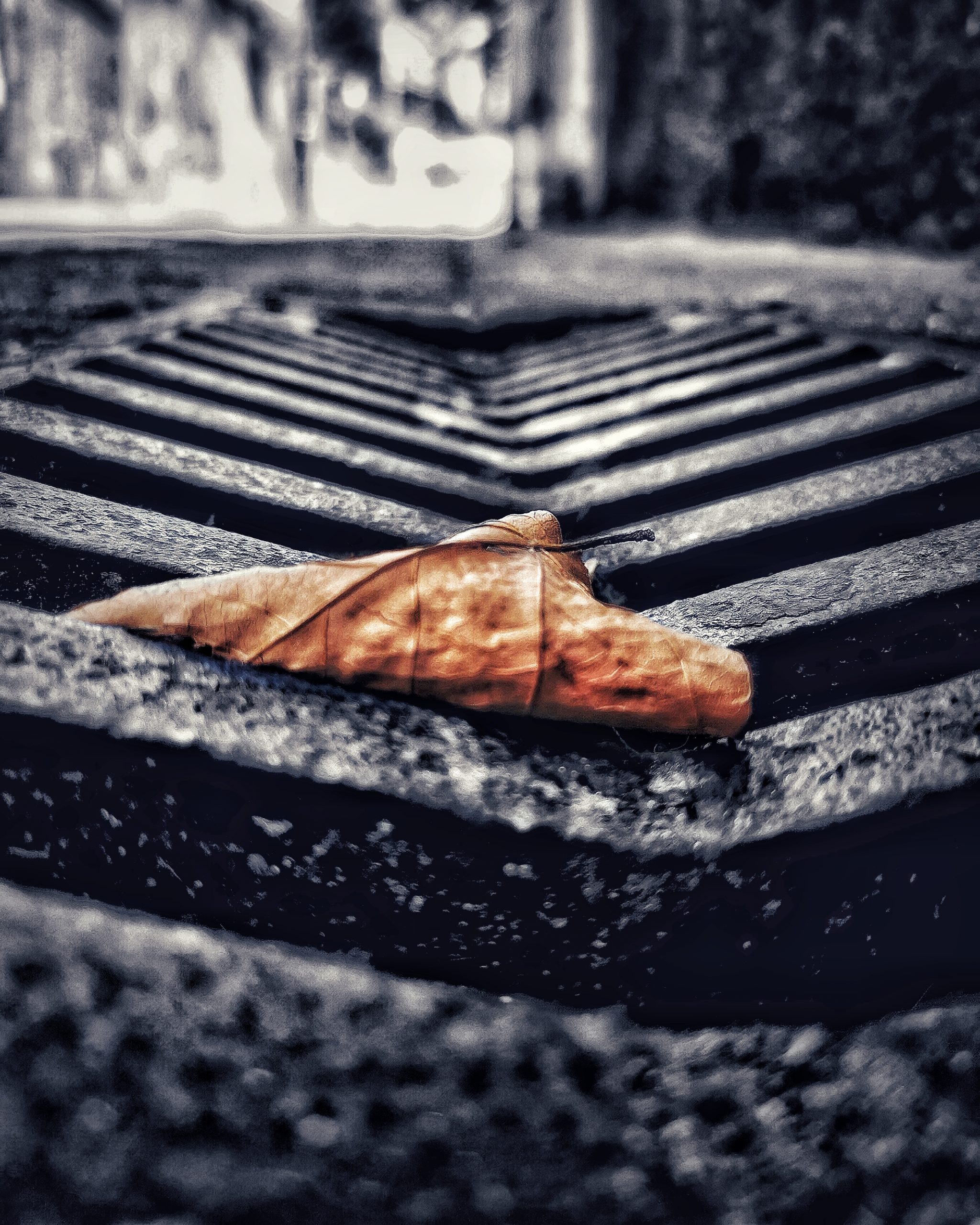 Los pequeños detalles 69 – Fotografía creativa móvil en Barakaldo | Ibarakaldo