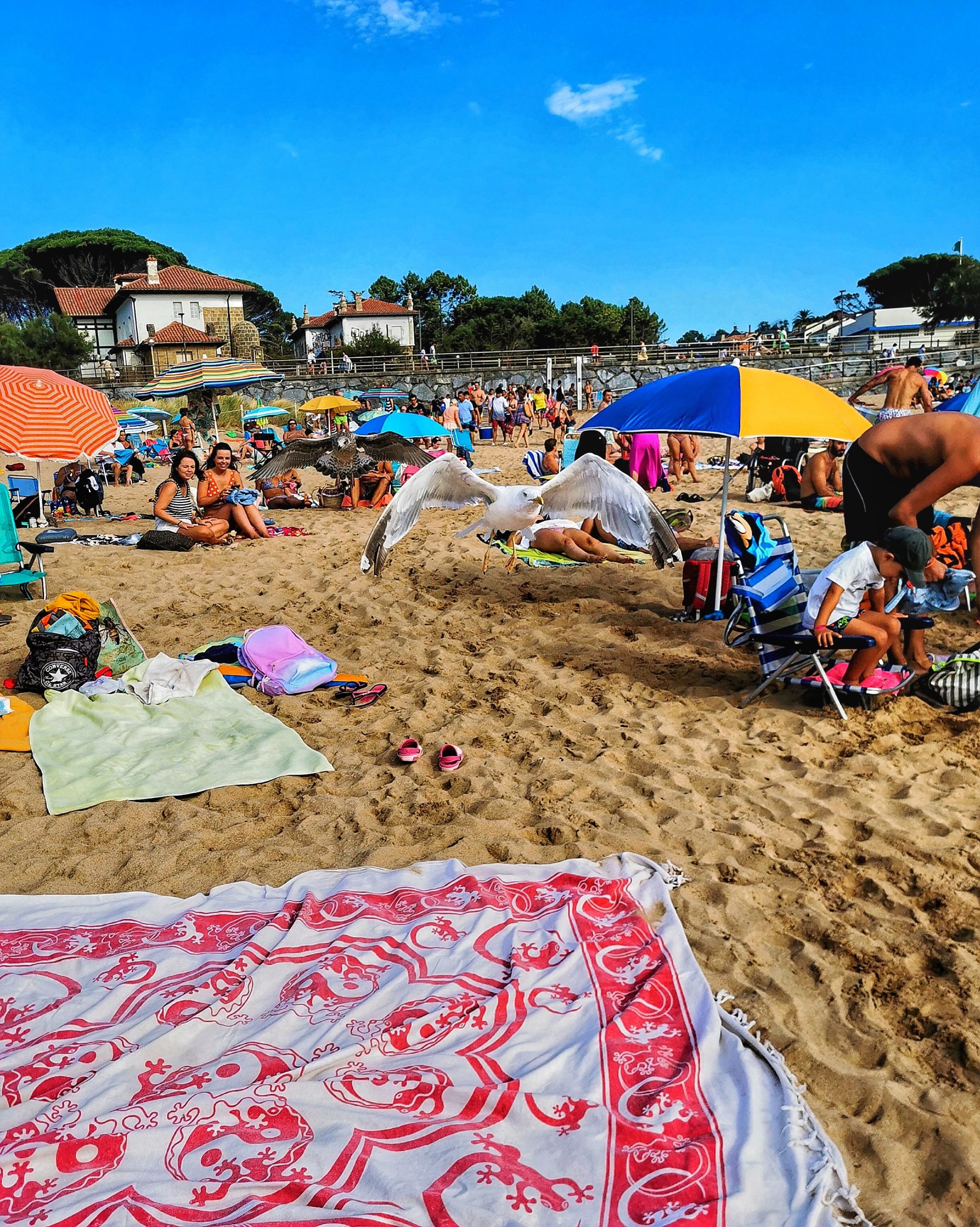 GORLIZ Dia de playa… 3. La Gaviota  – Fotografía creativa móvil en Gorliz | Ibarakaldo