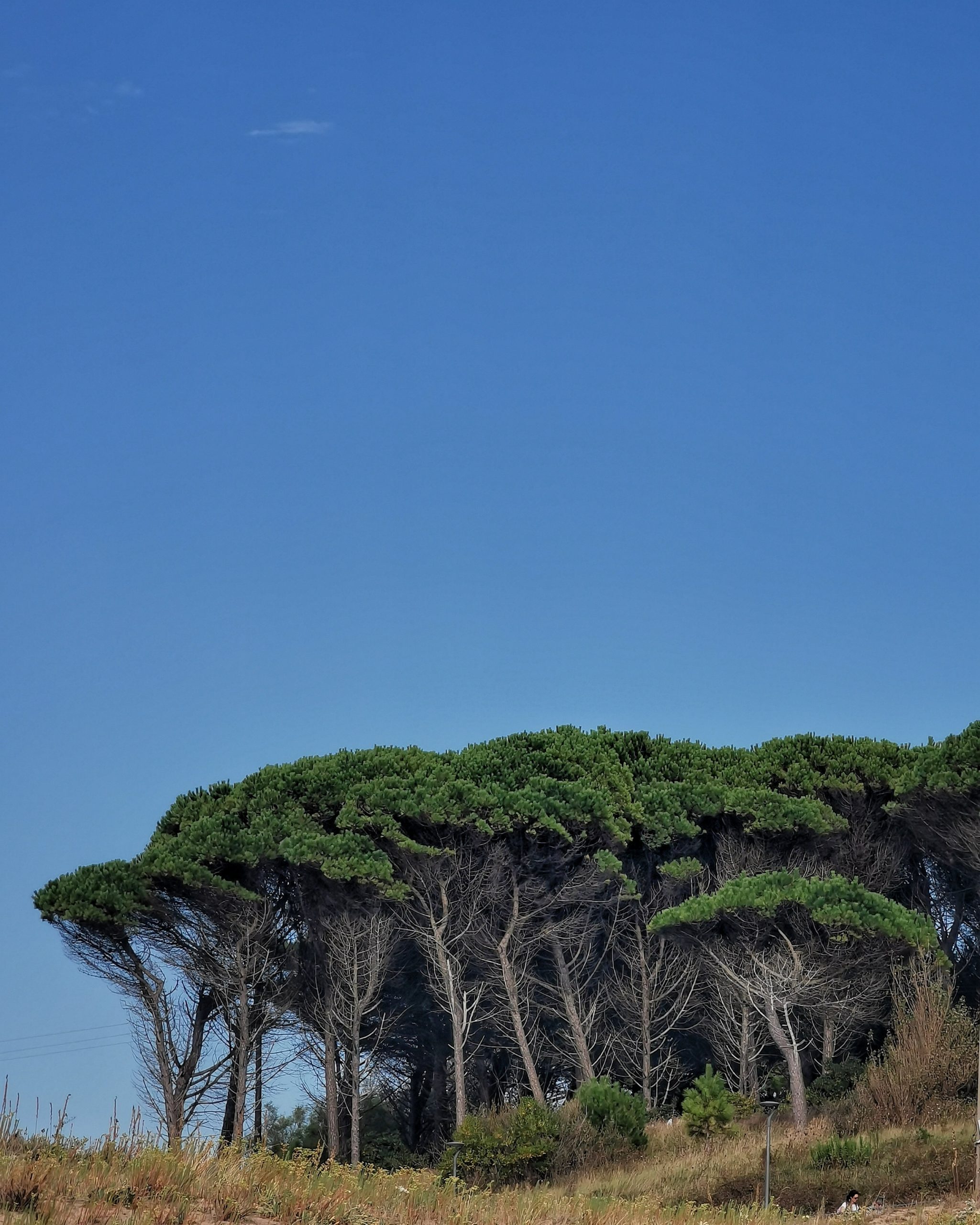 GORLIZ A la sombra – Fotografía creativa móvil en Gorliz | Ibarakaldo