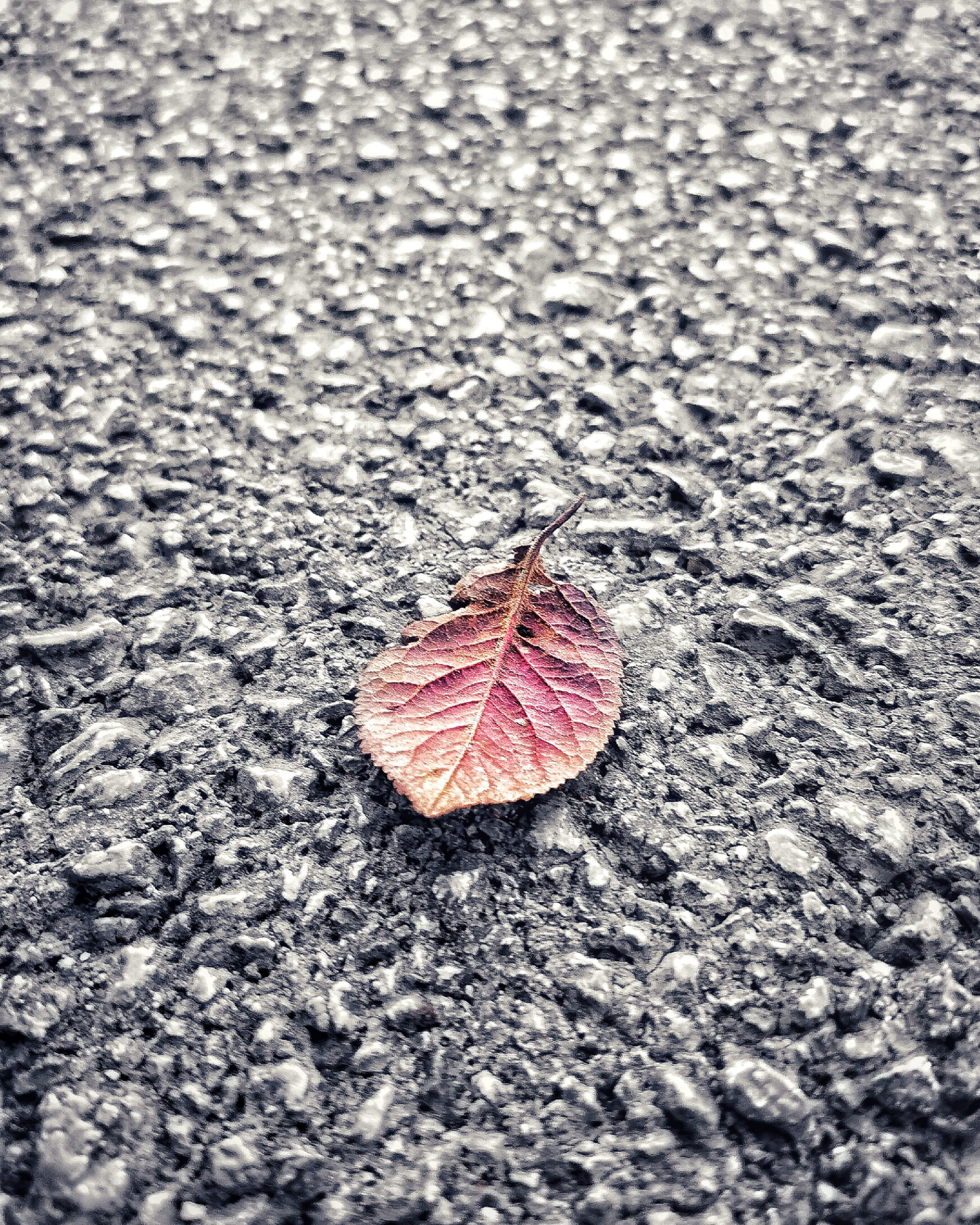 Los pequeños detalles 70 – Fotografía creativa móvil en Barakaldo | Ibarakaldo