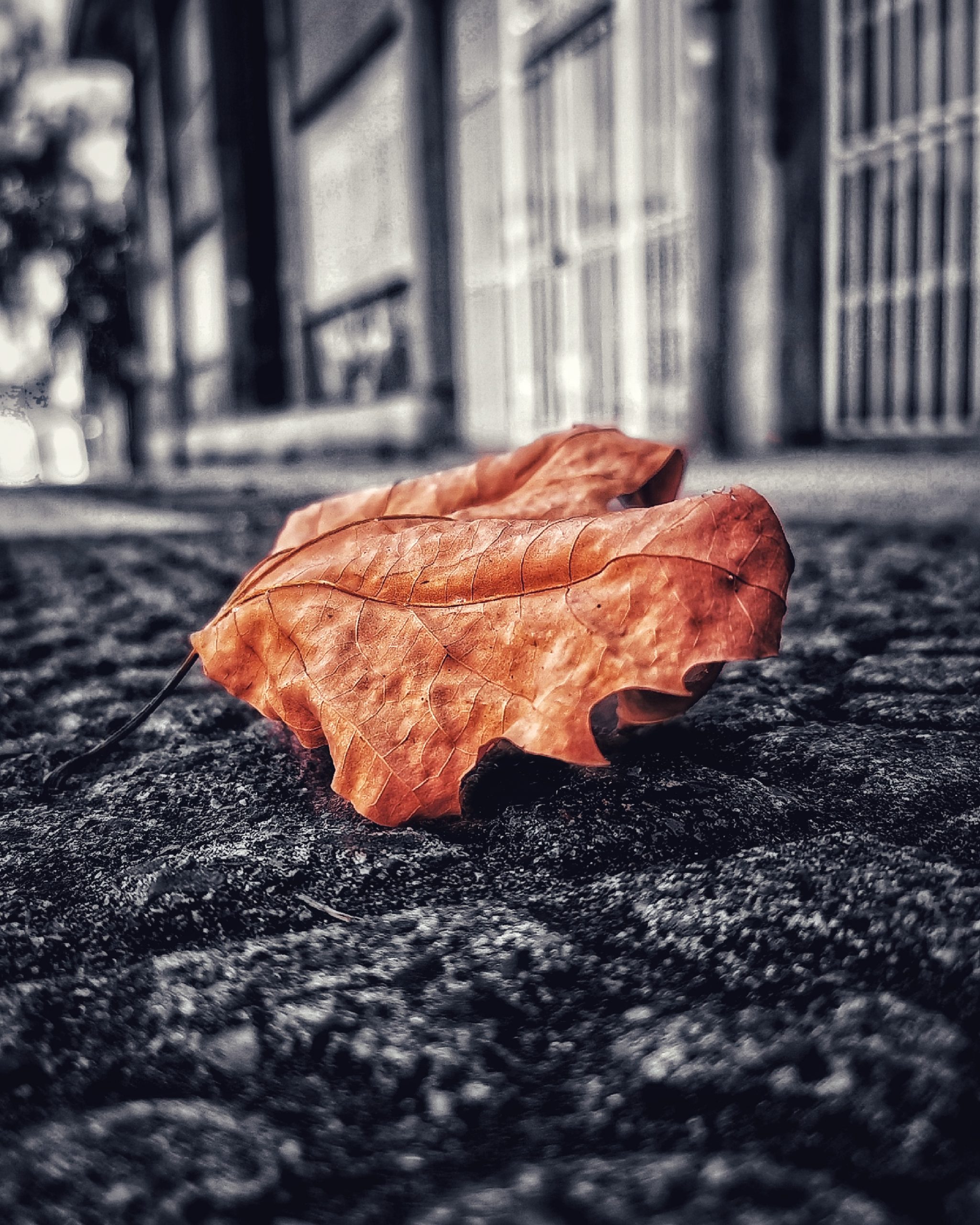 Los pequeños detalles 71 – Fotografía creativa móvil en Barakaldo | Ibarakaldo