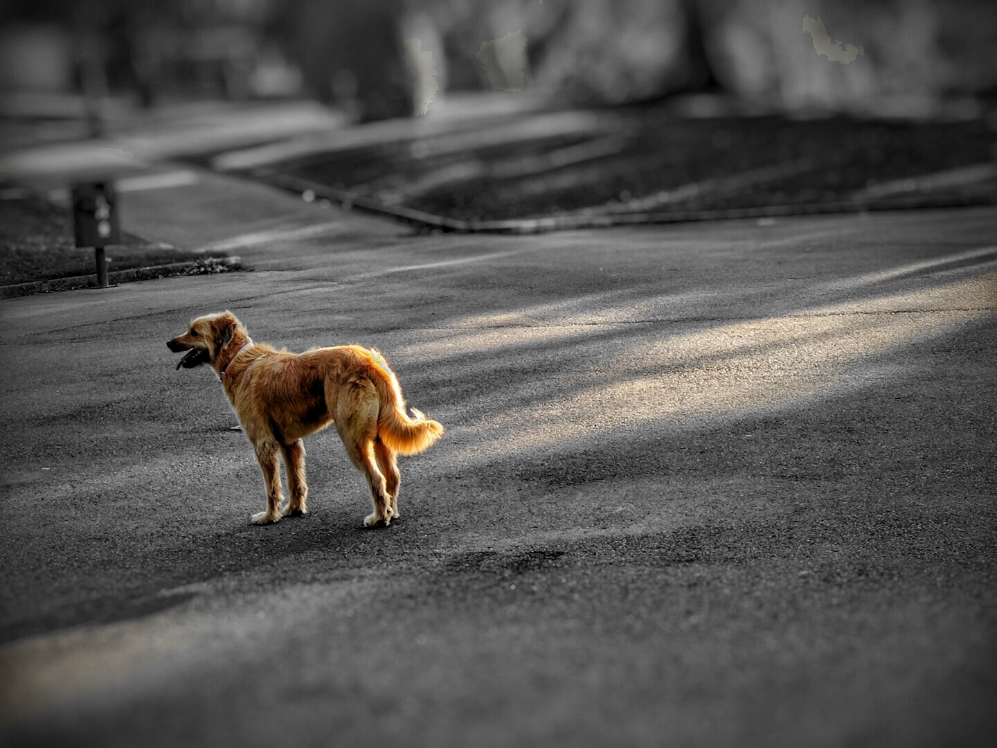 Desaturado Selectivo | Espera…. 2  | Momentos Splash (Cut Out). Fotografía Creativa Ibarakaldo