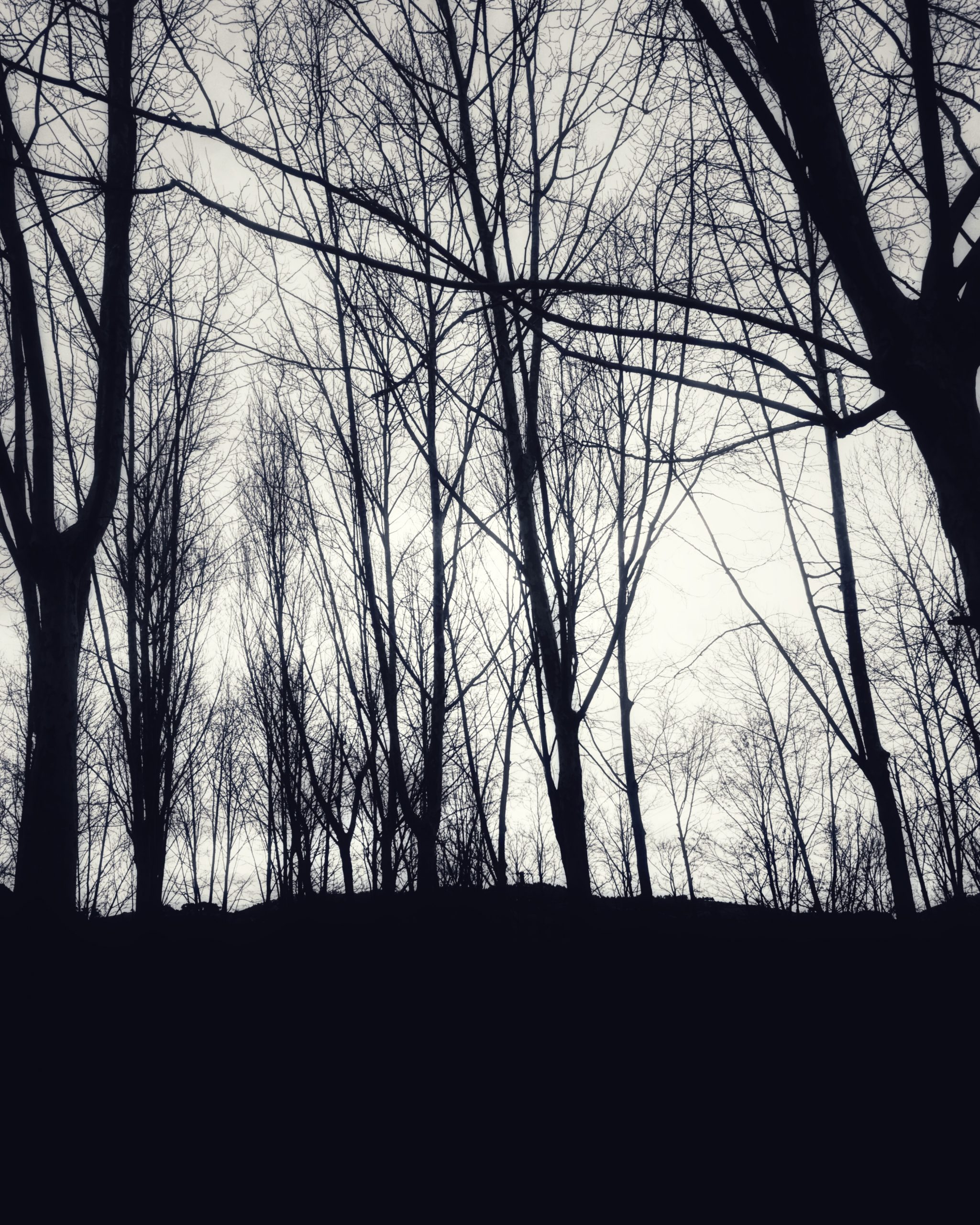 Creatividad 126 – Fotografía creativa móvil en Barakaldo | Ibarakaldo