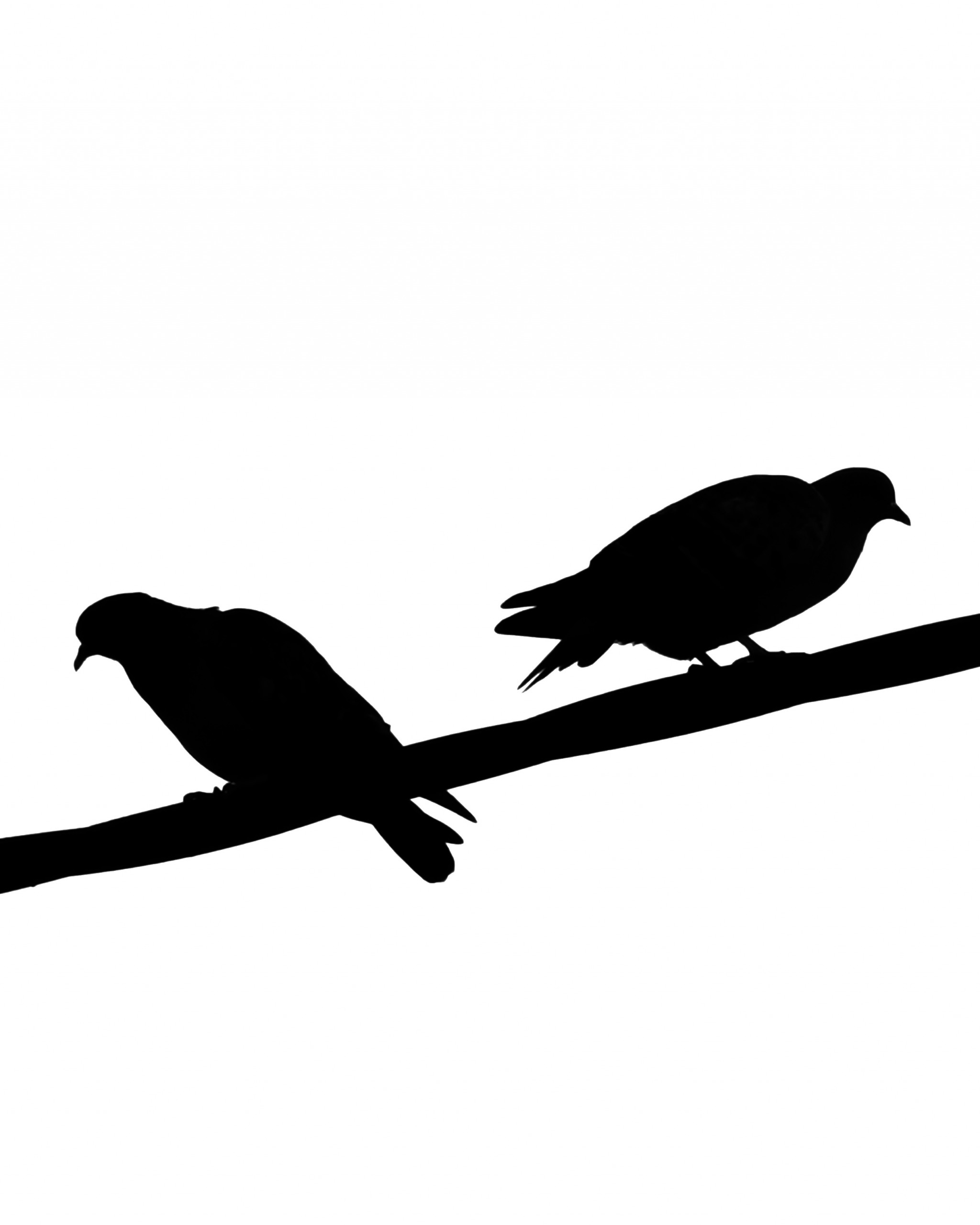 Llamalo…. X – Fotografía creativa móvil en Barakaldo | Ibarakaldo