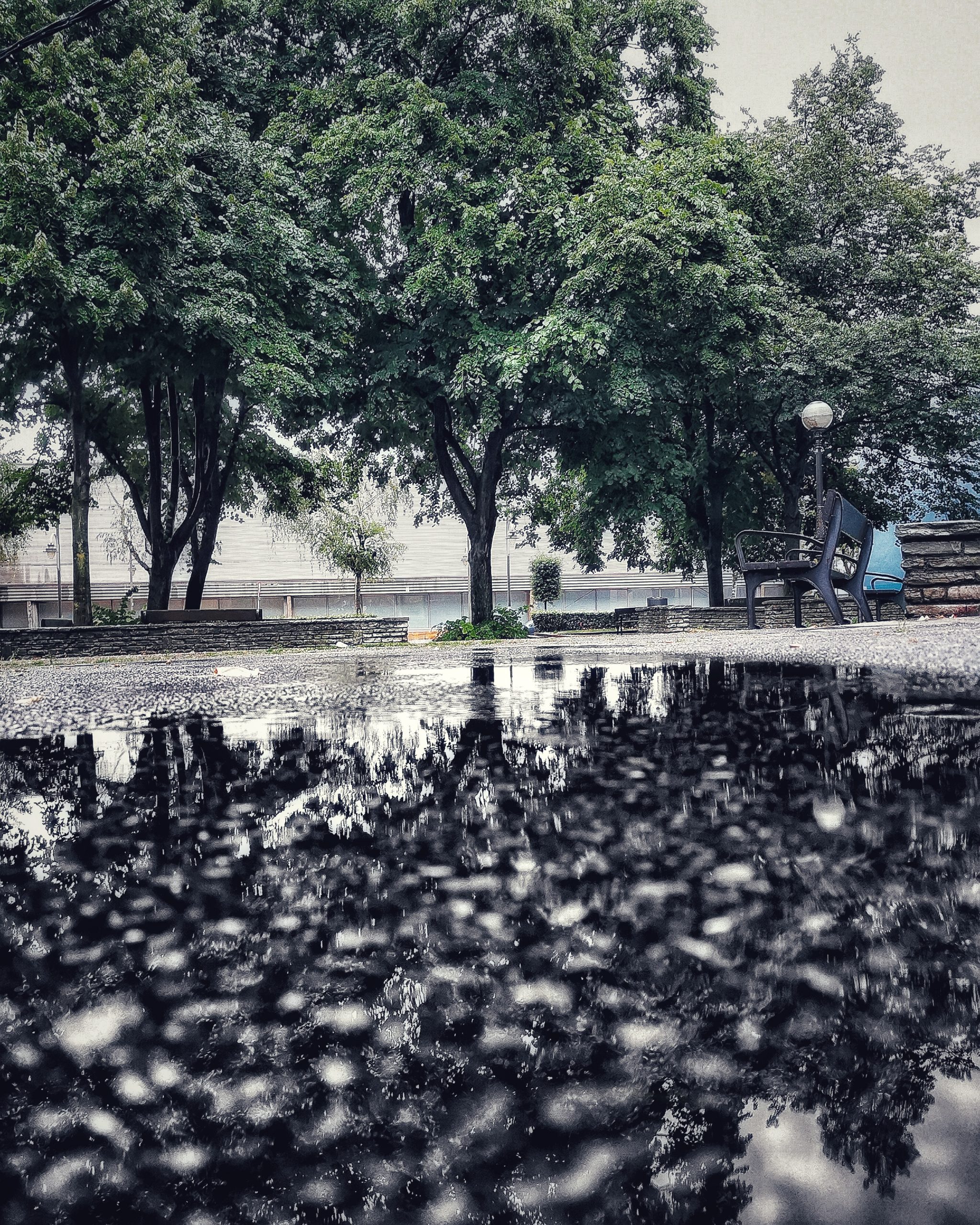 Disfrutar el Momento 30 – Fotografía creativa móvil en Barakaldo | Ibarakaldo