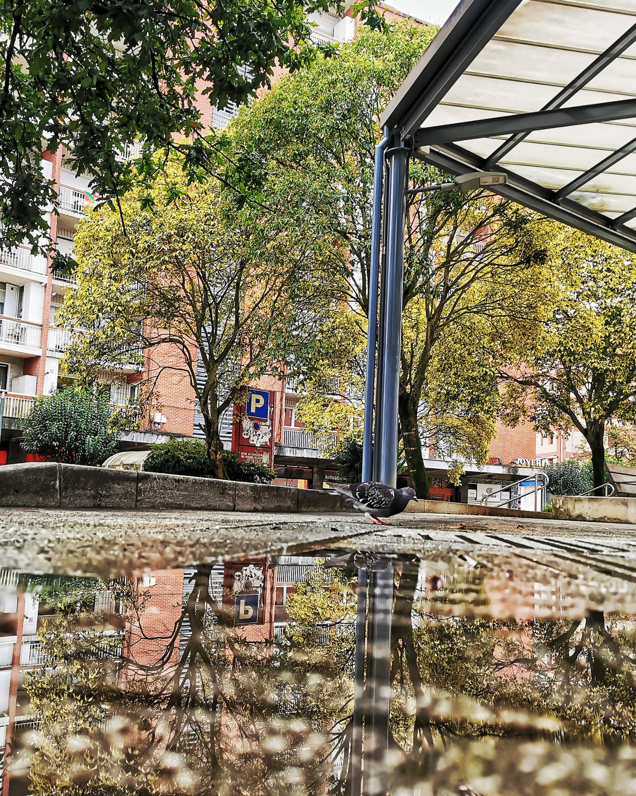 Disfrutar el Momento 31 – Fotografía creativa móvil en Barakaldo | Ibarakaldo