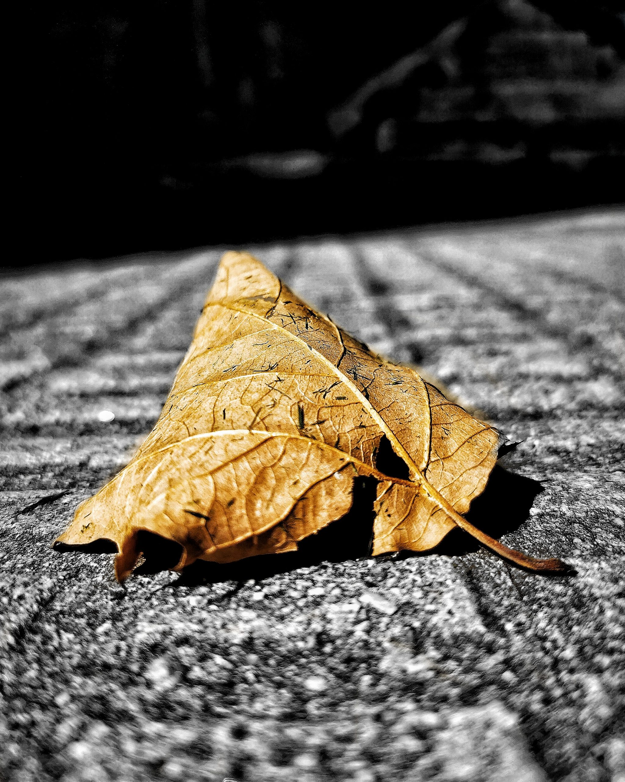 Los pequeños detalles 76 – Fotografía creativa móvil en Barakaldo | Ibarakaldo