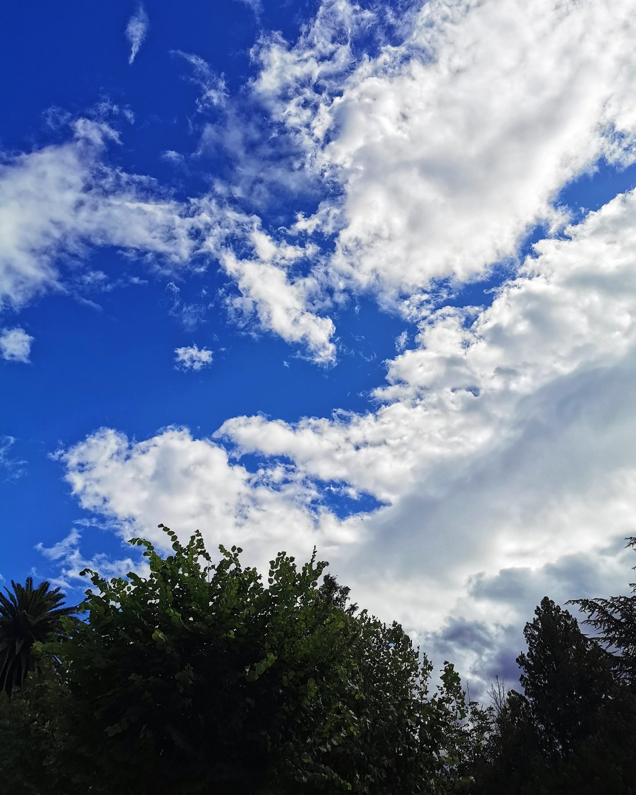 It’s a Beautiful Day… – Fotografía creativa móvil en Barakaldo | Ibarakaldo