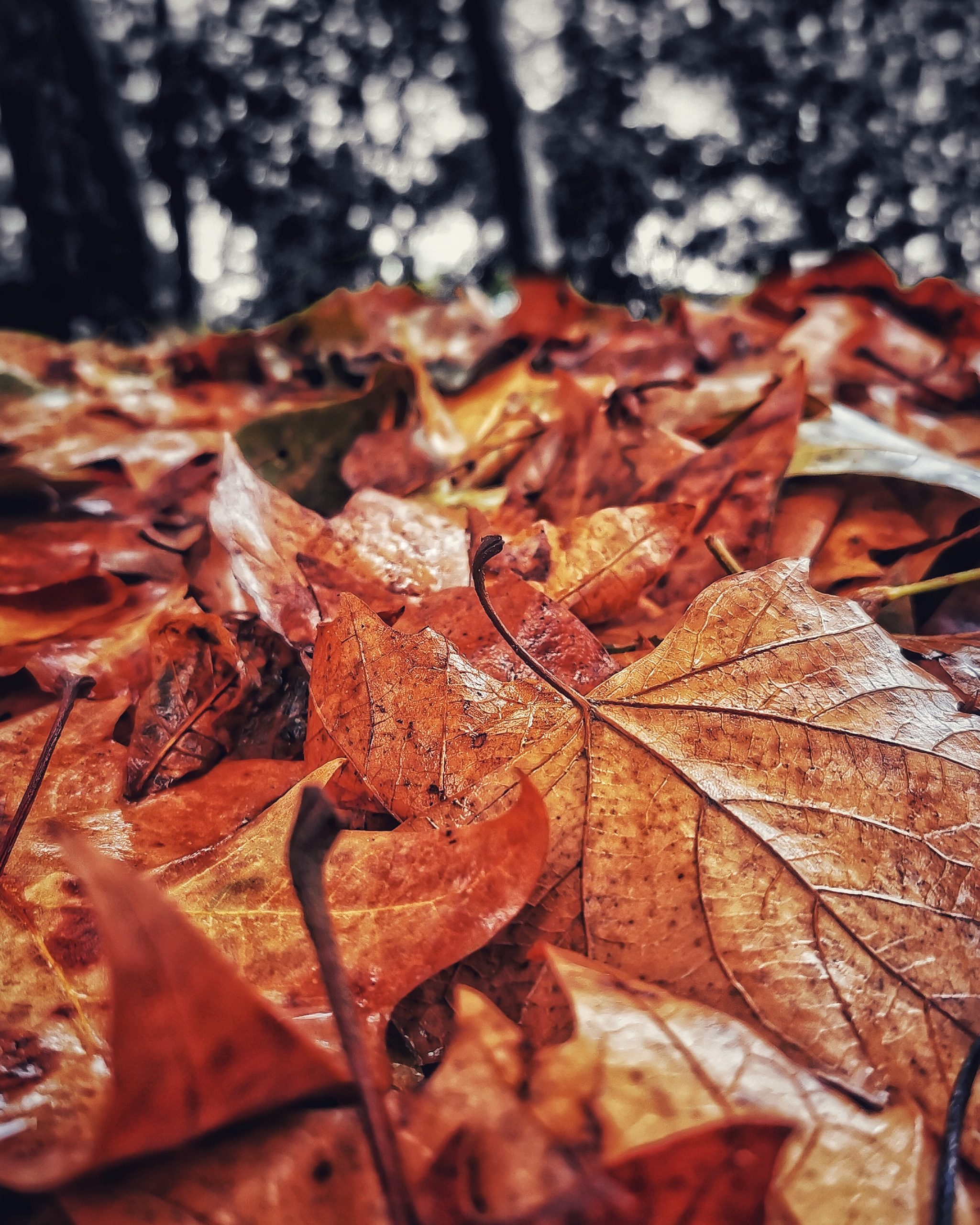 Los pequeños detalles 75 – Fotografía creativa móvil en Barakaldo | Ibarakaldo