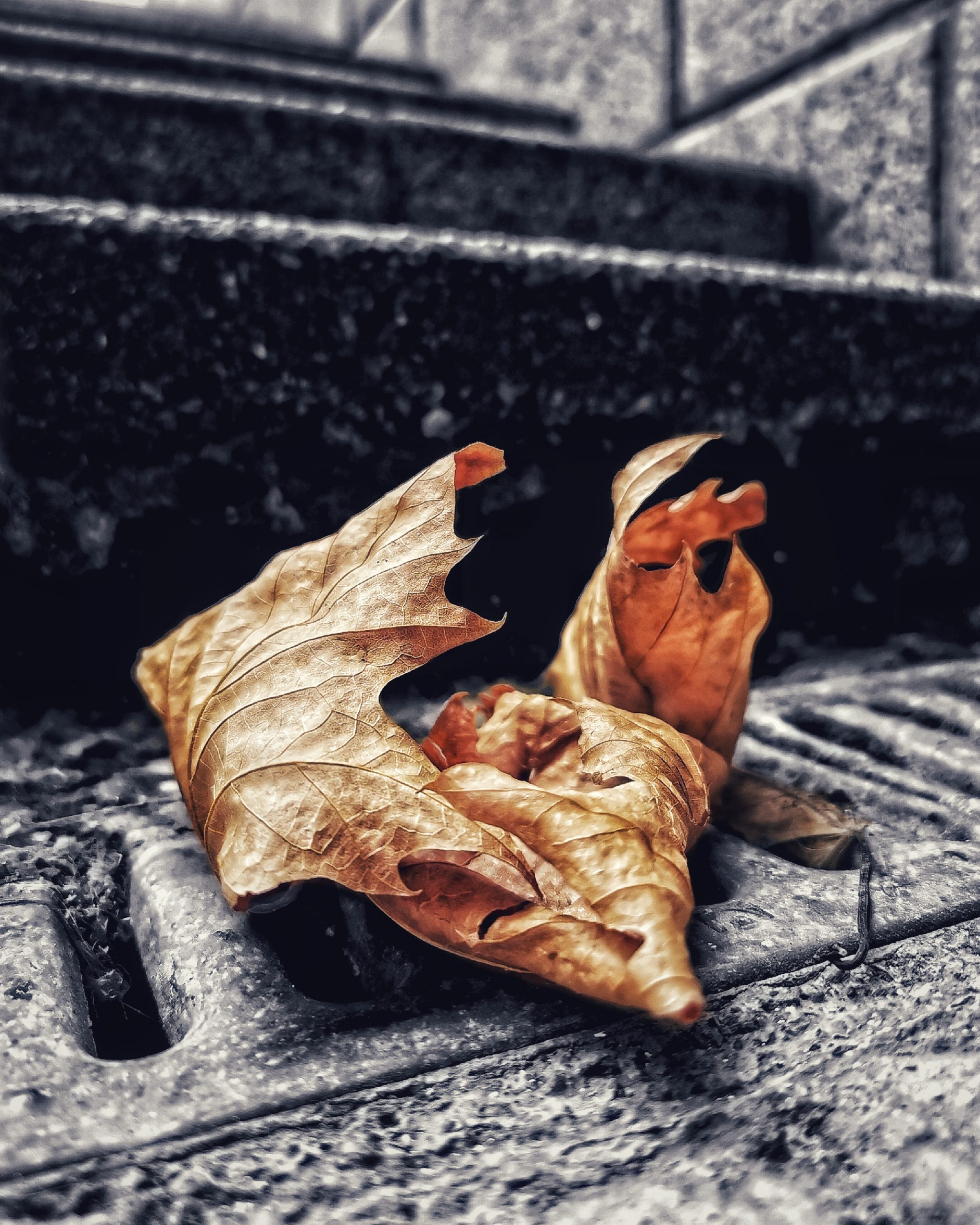 Los pequeños detalles 74 – Fotografía creativa móvil en Barakaldo | Ibarakaldo