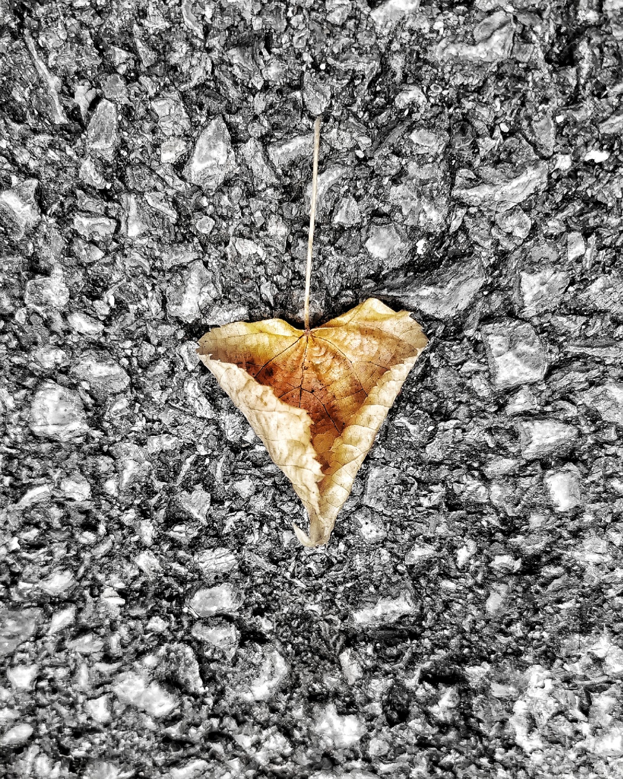 Los pequeños detalles 73 – Fotografía creativa móvil en Barakaldo | Ibarakaldo