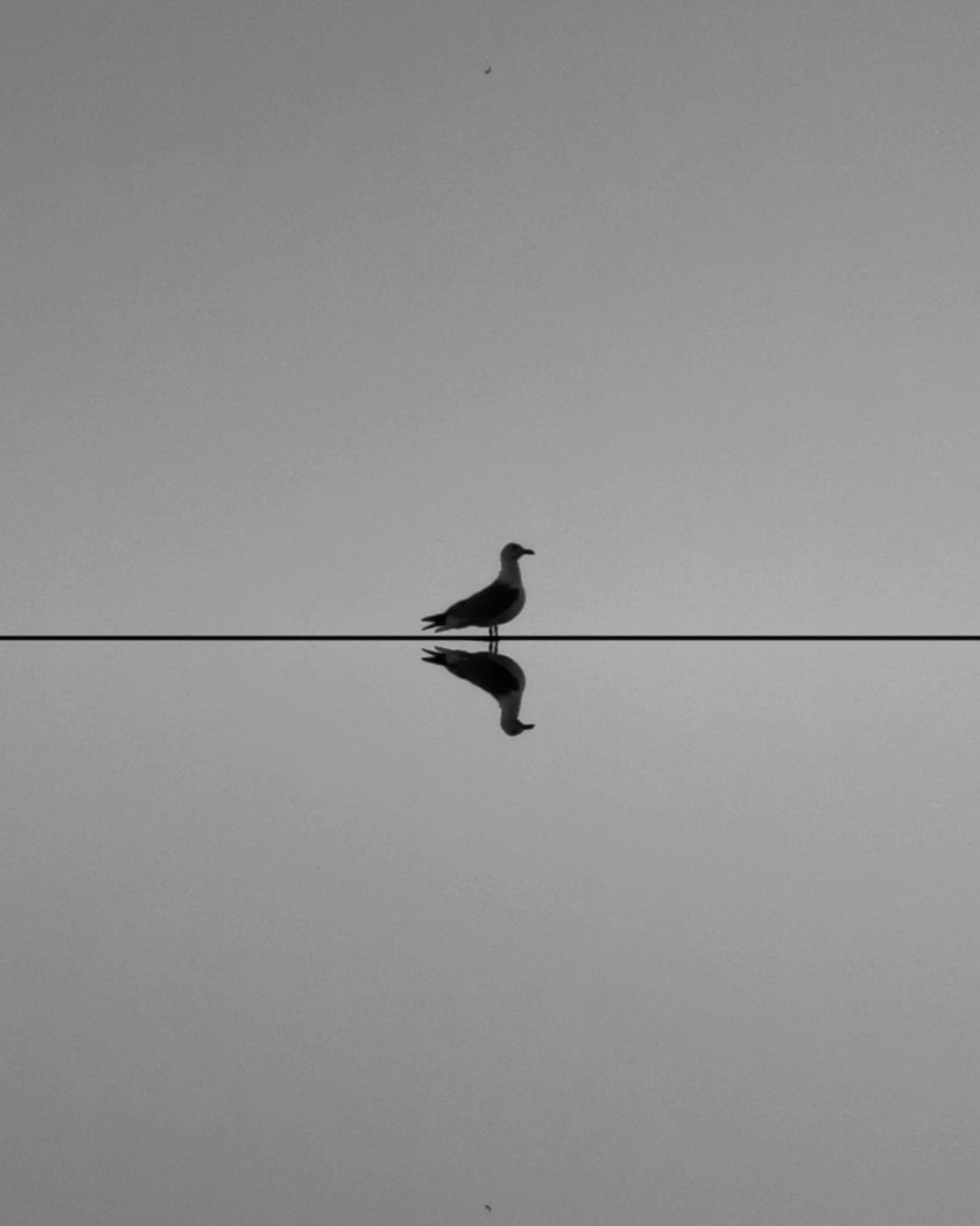 Simplemente… SIMPLE – Fotografía creativa móvil en Barakaldo | Ibarakaldo