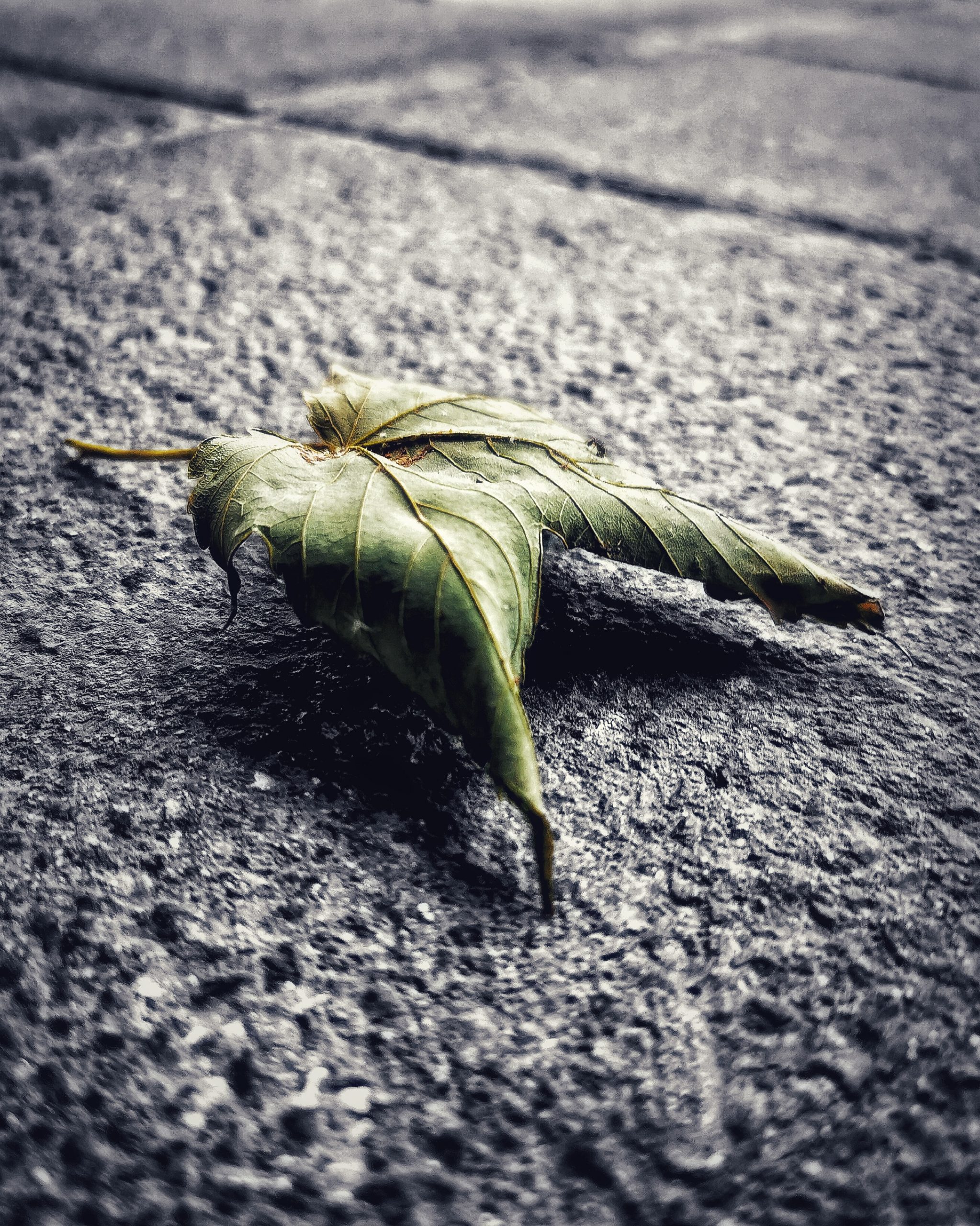 Los pequeños detalles 80 – Fotografía creativa móvil en Barakaldo | Ibarakaldo